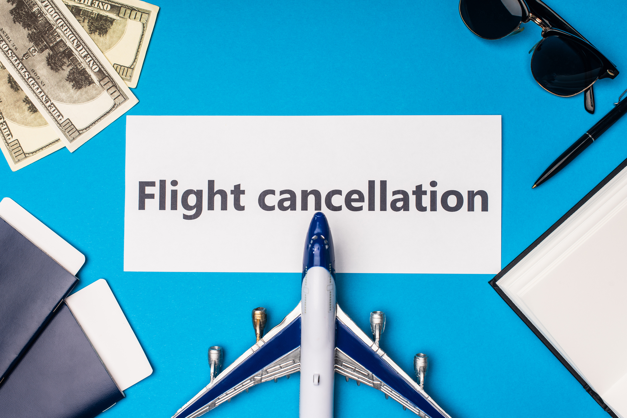 Should You Purchase Travel Insurance for Your Family Vacation - Flight Cancellation