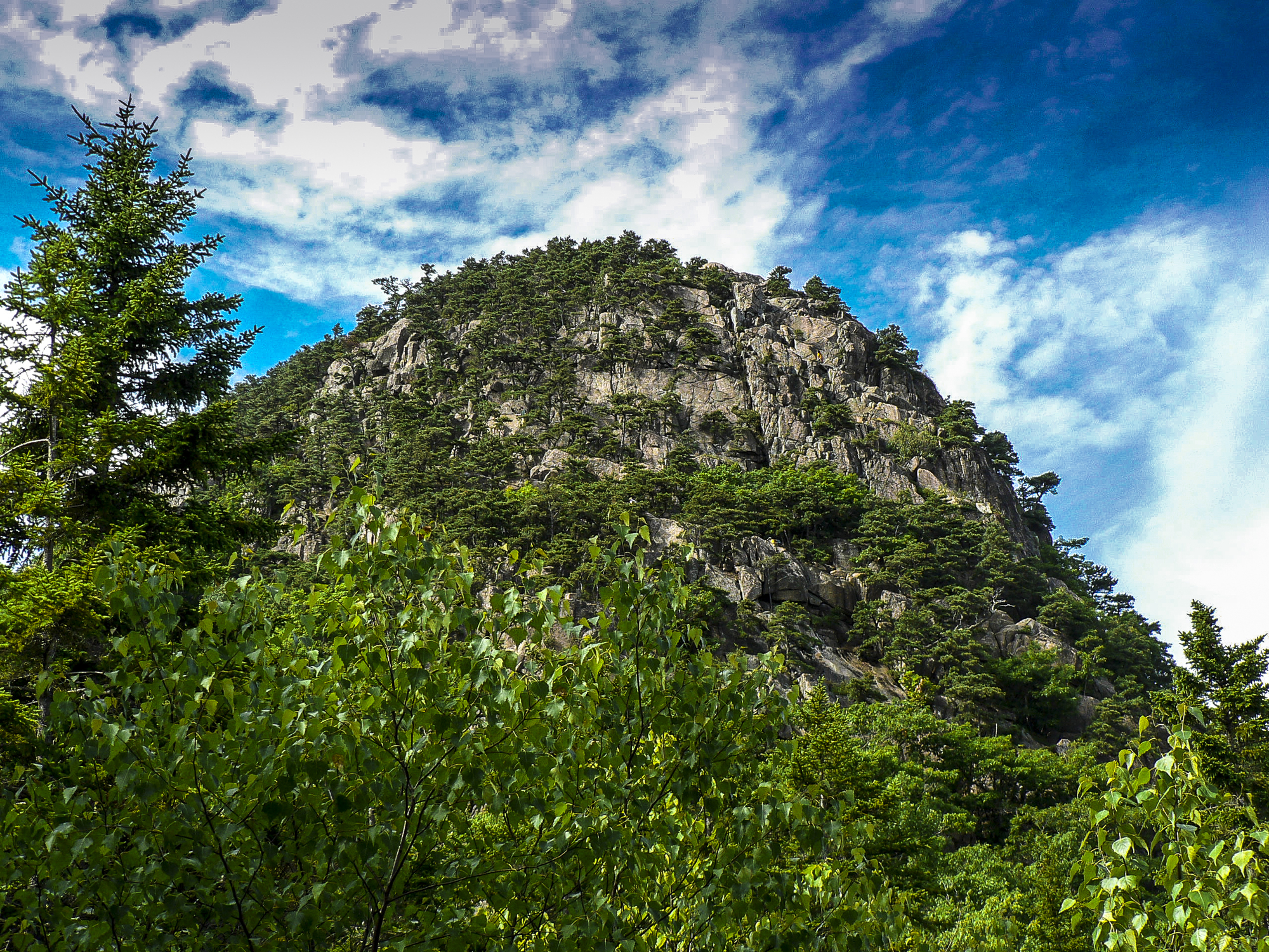 Best Hiking Trails in Acadia National Park - Beehive Mountain in Acadia National Park in Maine