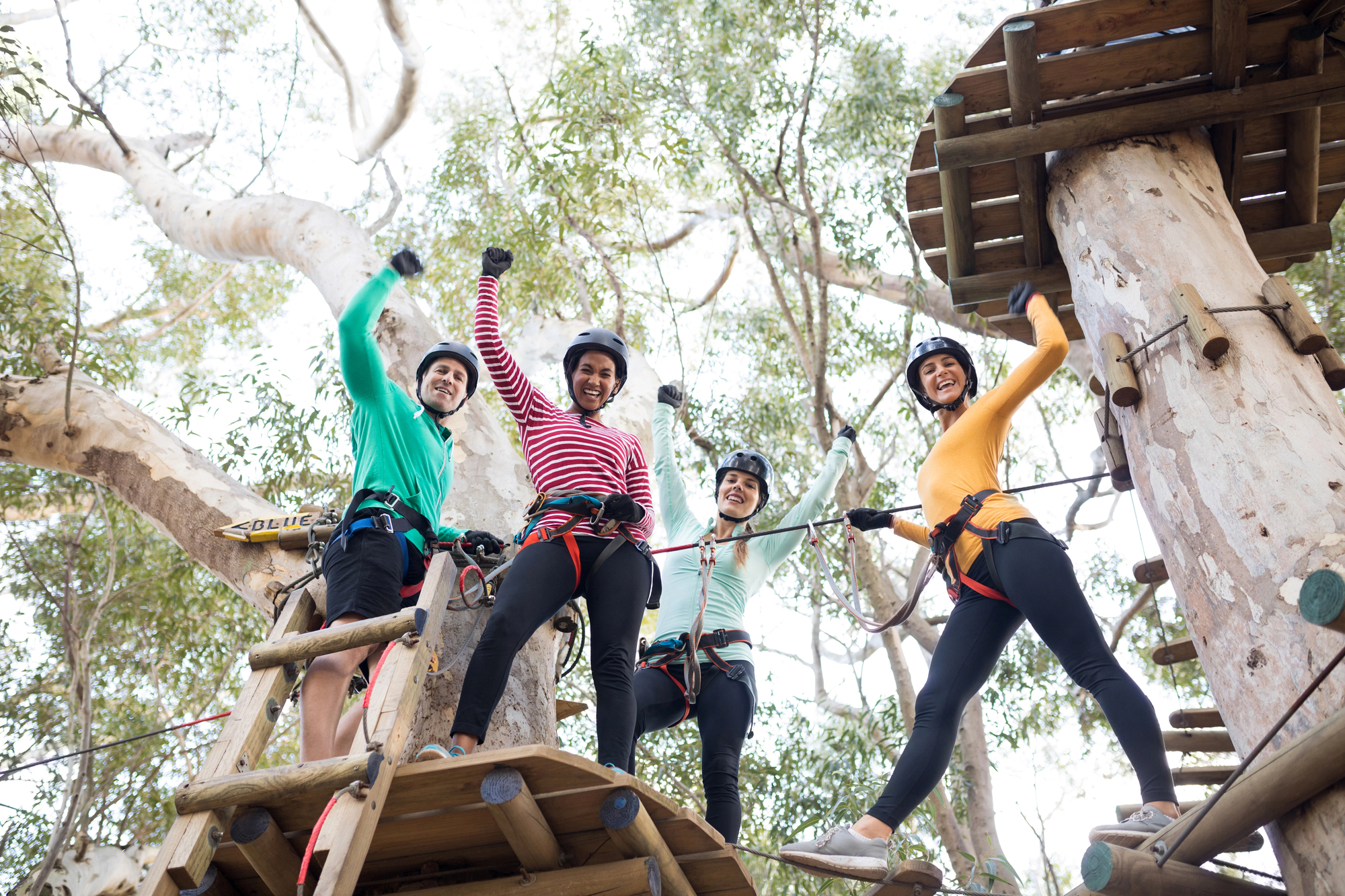 Multigenerational Travelers: Fun Family Getaways - Adventure Course