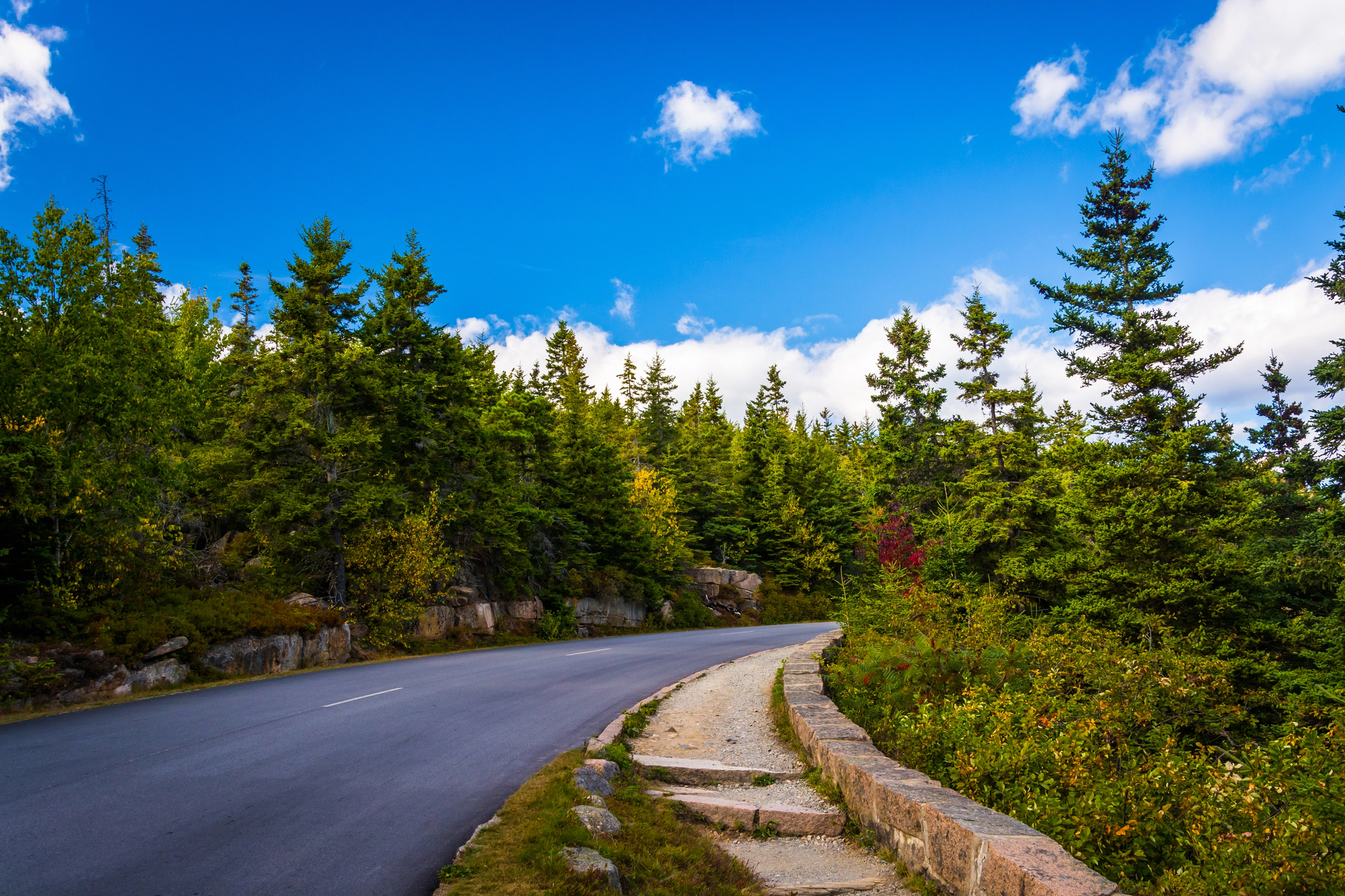 Acadia National Park: Things to Do During Your Family Vacation - Scenic Park Loop in Acadia National Park