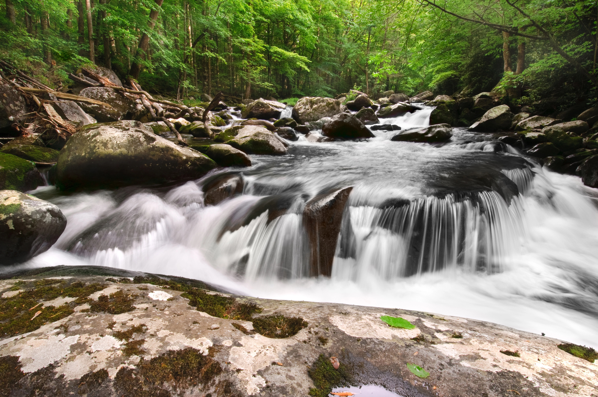 Amazing Hikes in the Great Smoky Mountains for Your Family Vacation - Waterfall in the Great Smoky Mountains