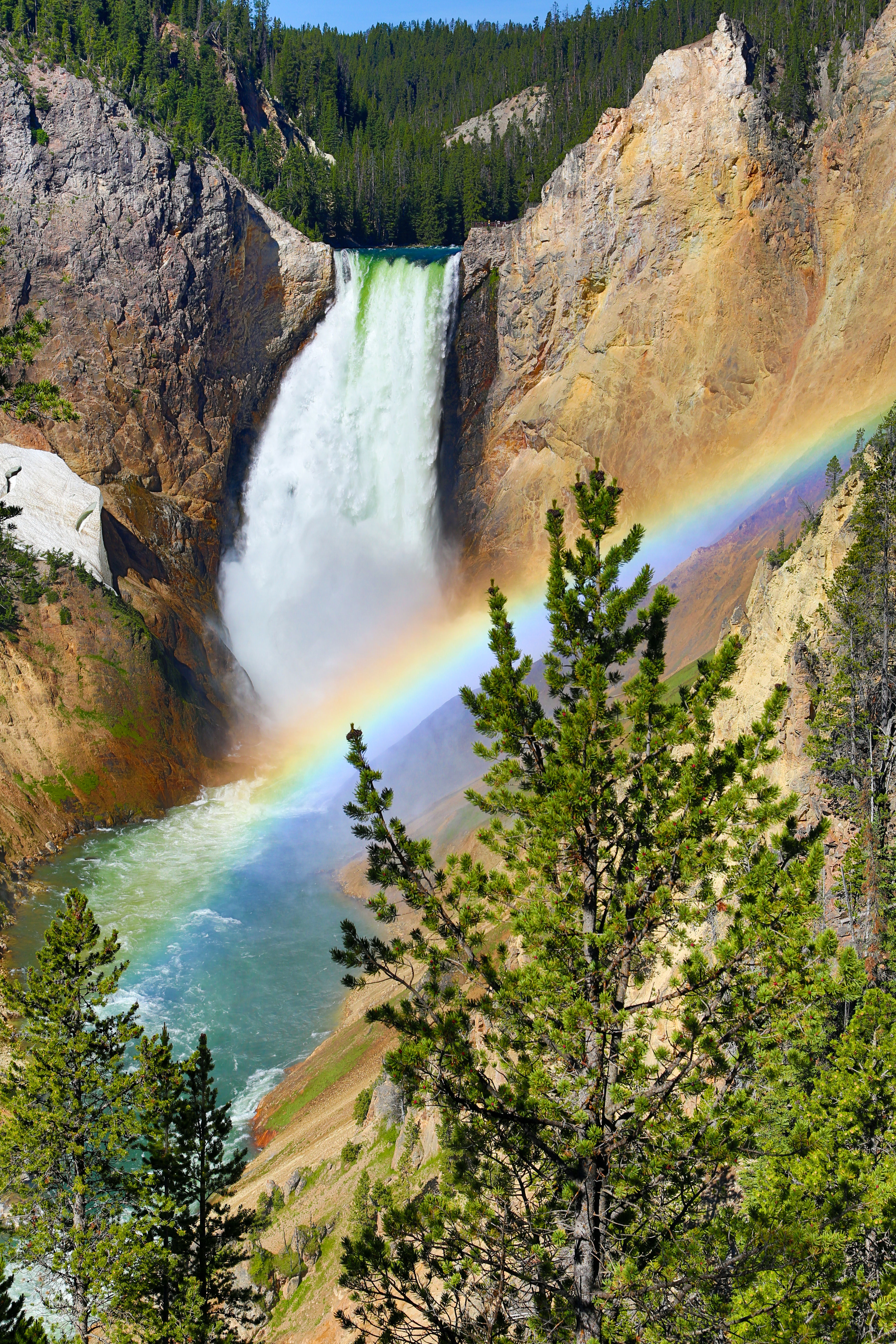 Best Things to See in Yellowstone National Park - Grand Canyon of Yellowstone National Park