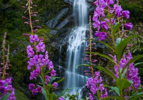 Bridal Falls in Alaska's Worthington Glacier and Recreation site