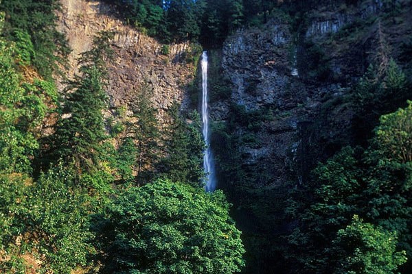 Family Vacation to Oregon, hike to a waterfall on the Columbia River Gorge
