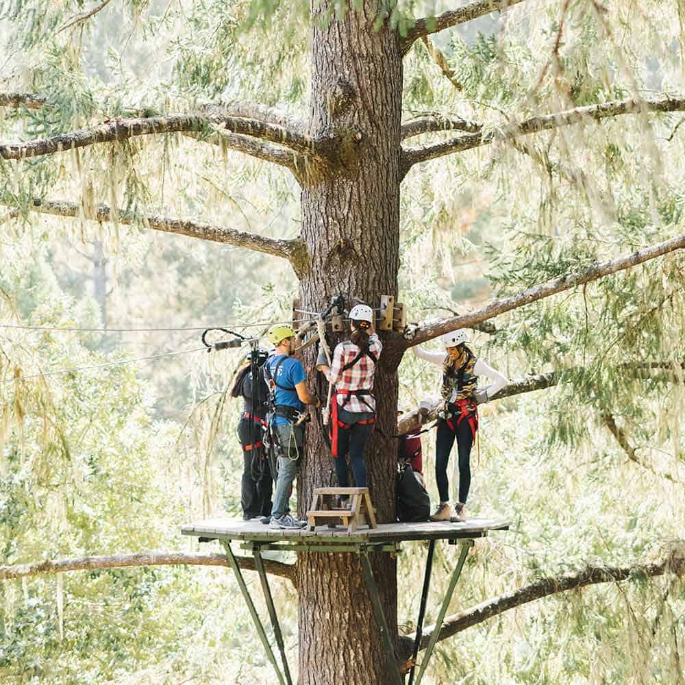 Redwood Zipline tour