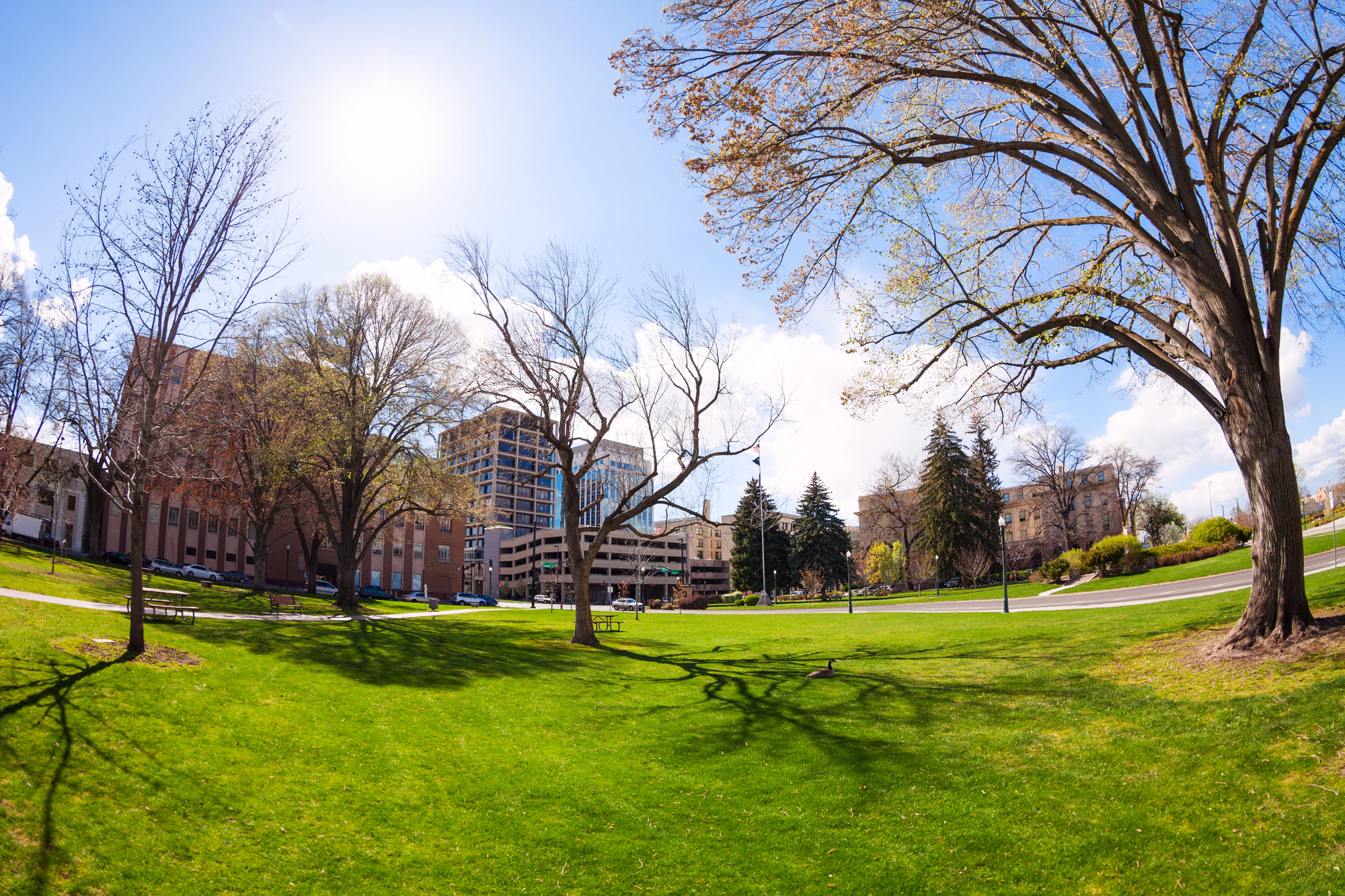 Family Friendly Cities You've Never Considered for Vacations - Boise Idaho