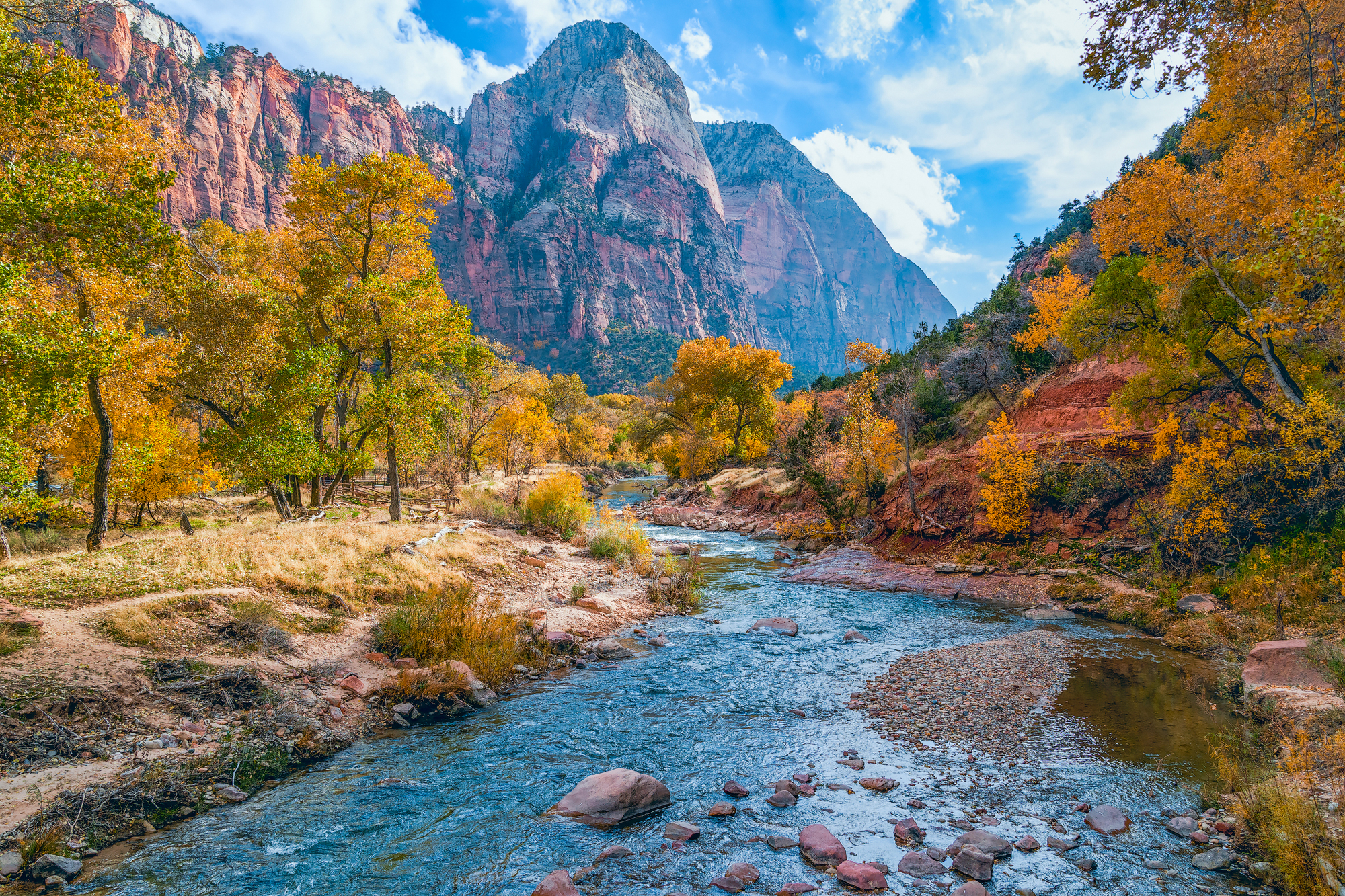 Top U.S. River Trips for an Unforgettable Family Vacation - Virgin River in Zion National Park