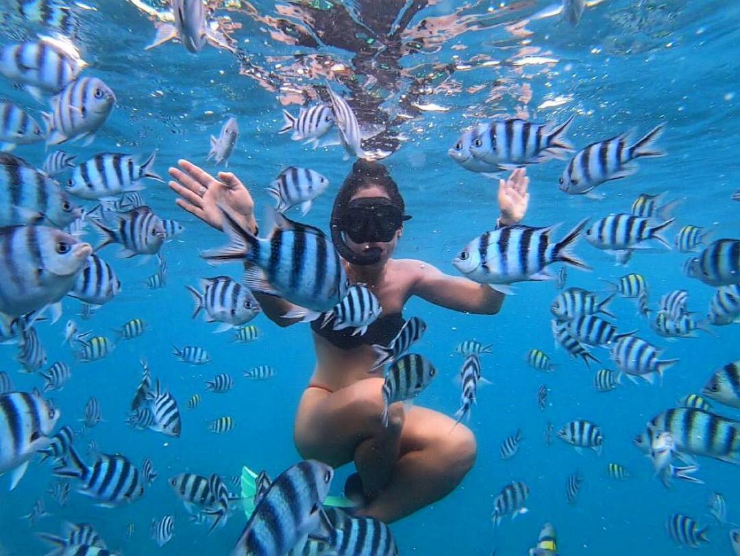 Snorkeling in Fiji
