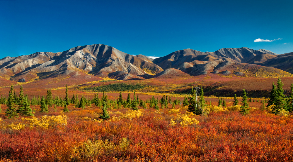 5 Incredible Reasons to Visit Alaska in the Fall