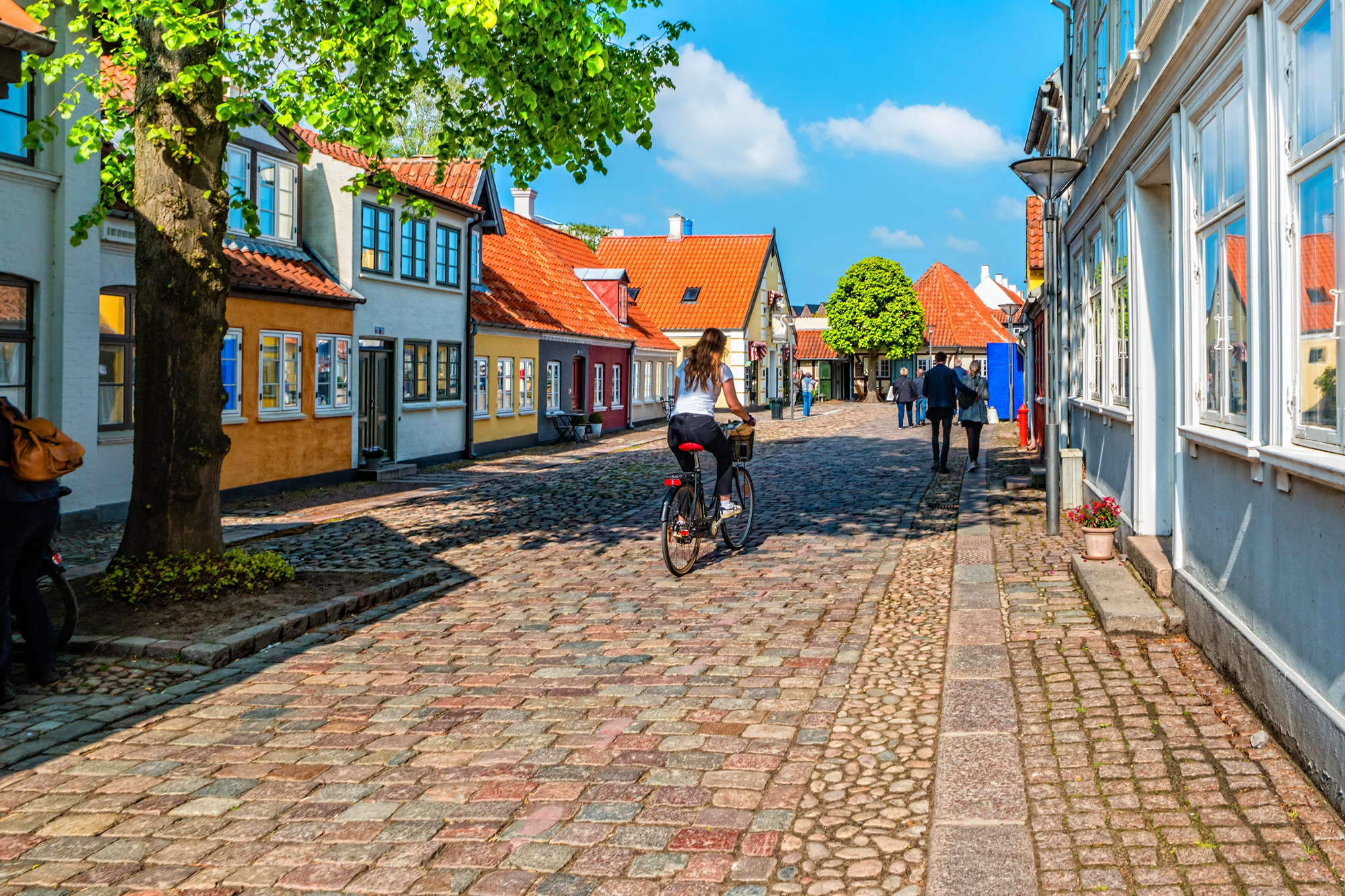 Odense Denmark: A Magical Family Journey Through Hans Christian Andersen's Fairy Tale World - Colorful Traditional Houses in Odense Denmark