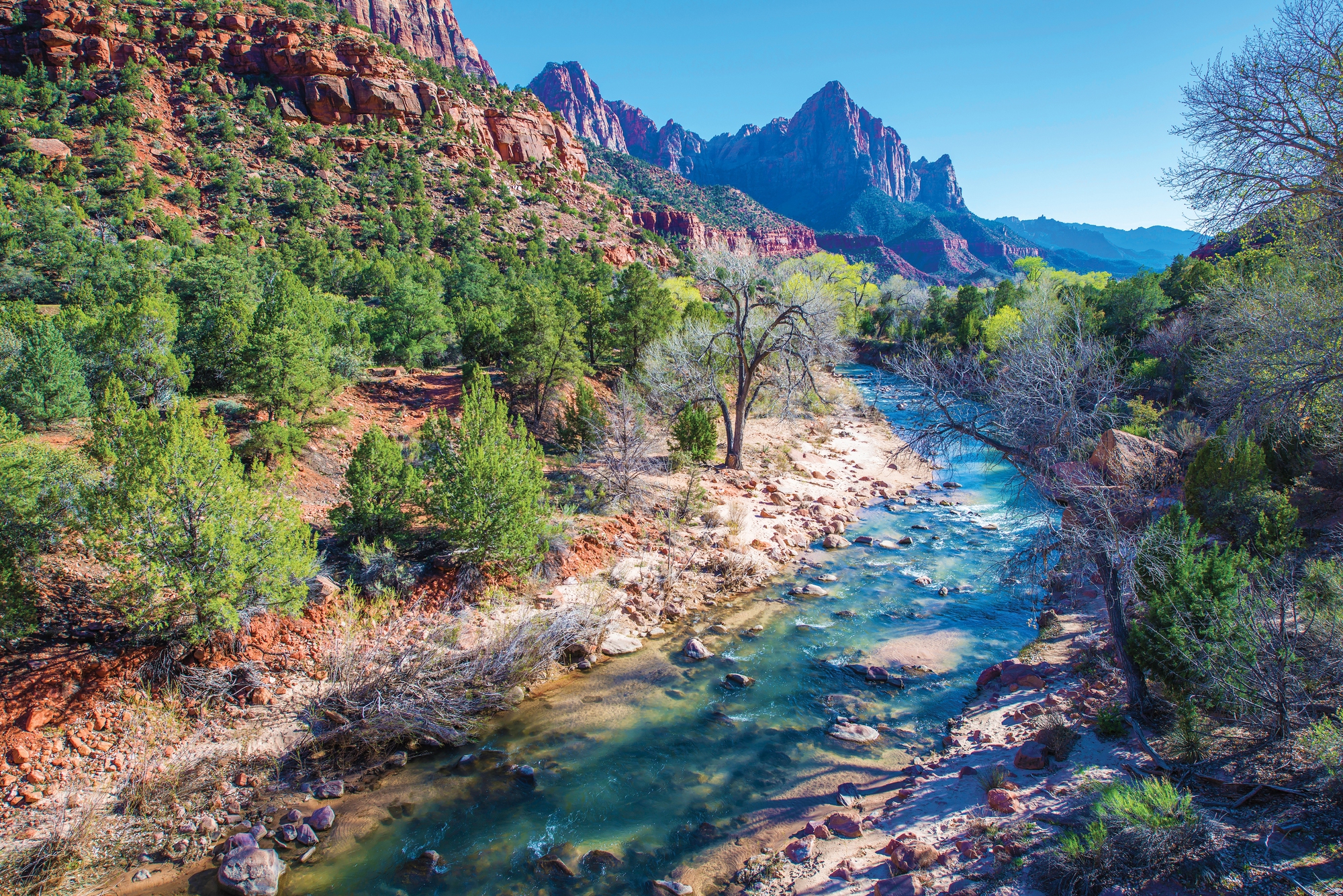 Multigenerational Vacation Ideas for Families - Virgin River Running Through Zion National Park in Utah