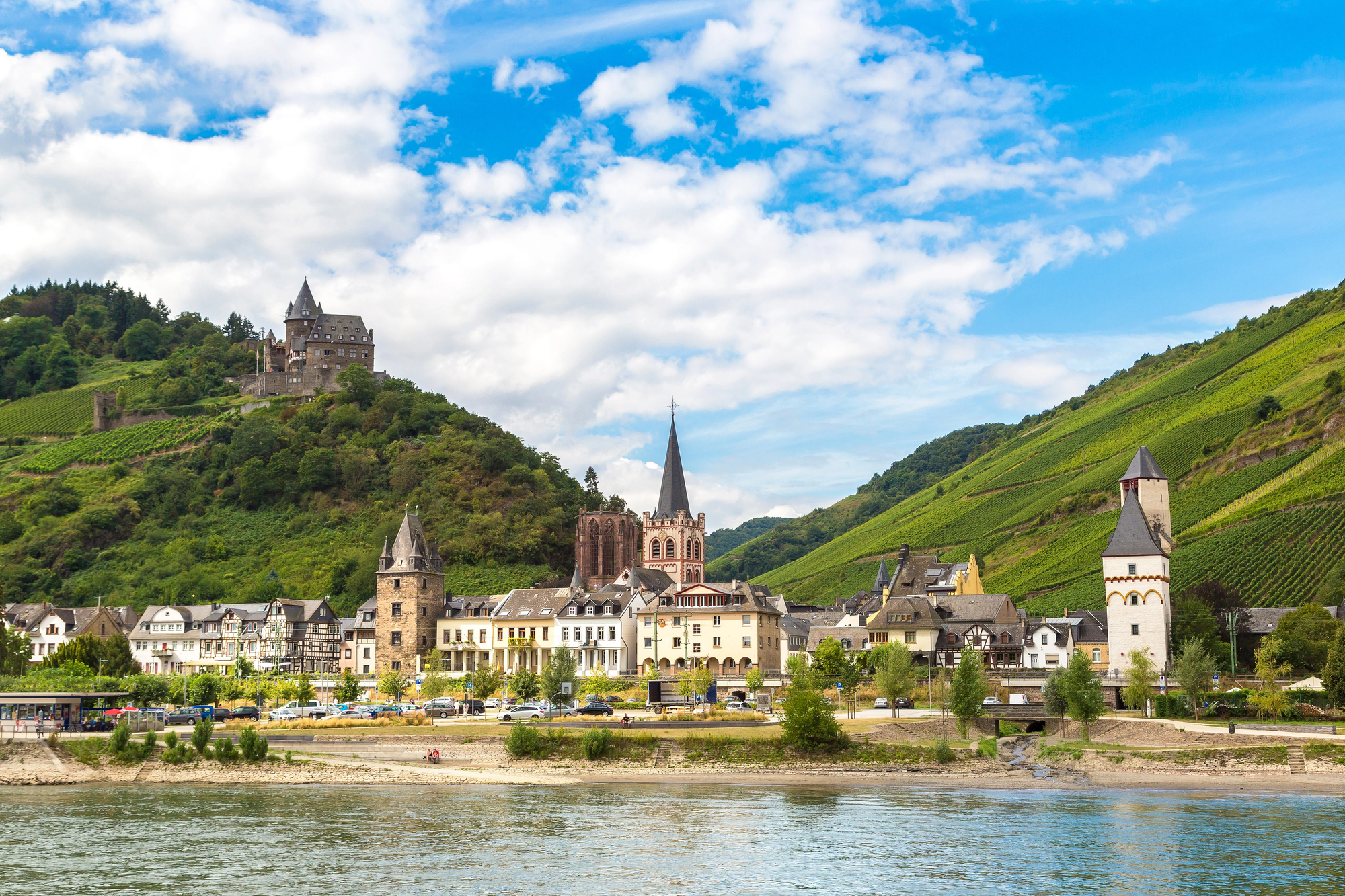 Winemaking area in the Rhine Valley in Germany