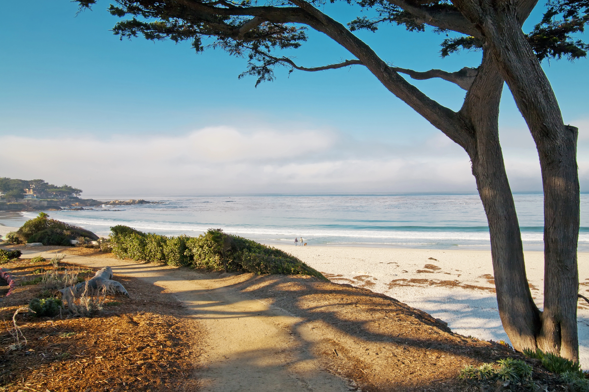 The Best Family Vacation in California: Unforgettable Experiences for Every Generation - Carmel by the Sea