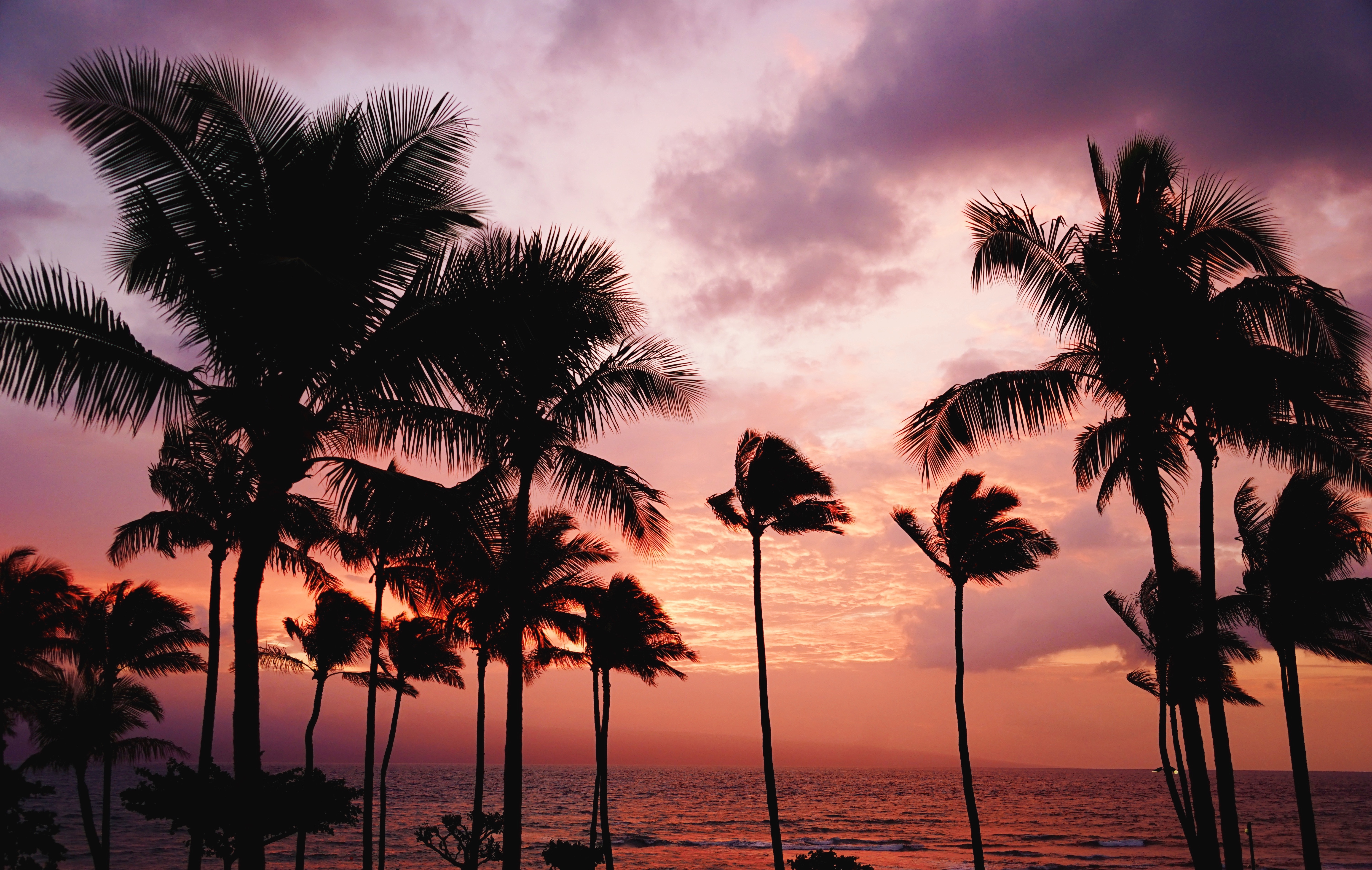 Why Oahu Is the Ultimate Multigenerational Family Vacation Destination