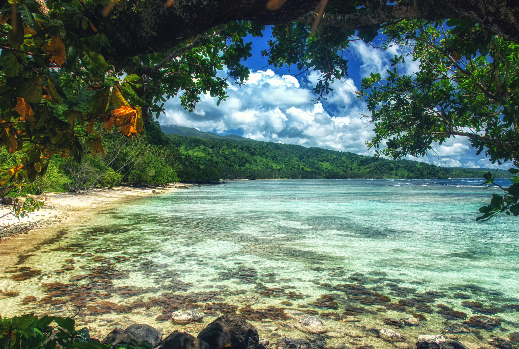 Best Islands in Fiji for Your Family Vacation - Taveuni Island in Fiji