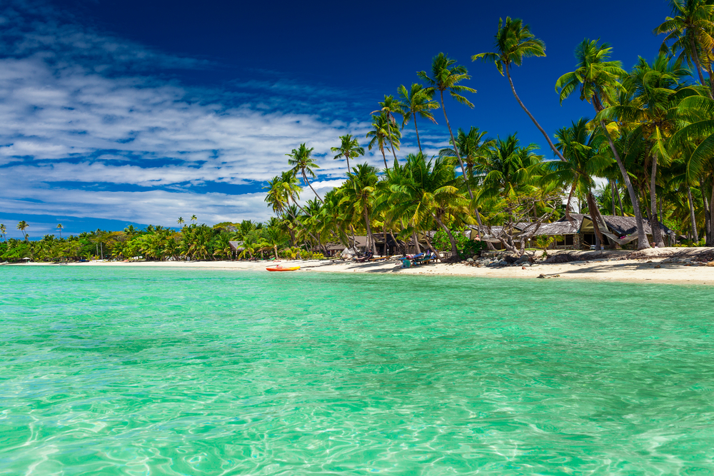 Tall coconut palm trees over tropical island resort beach, Fiji