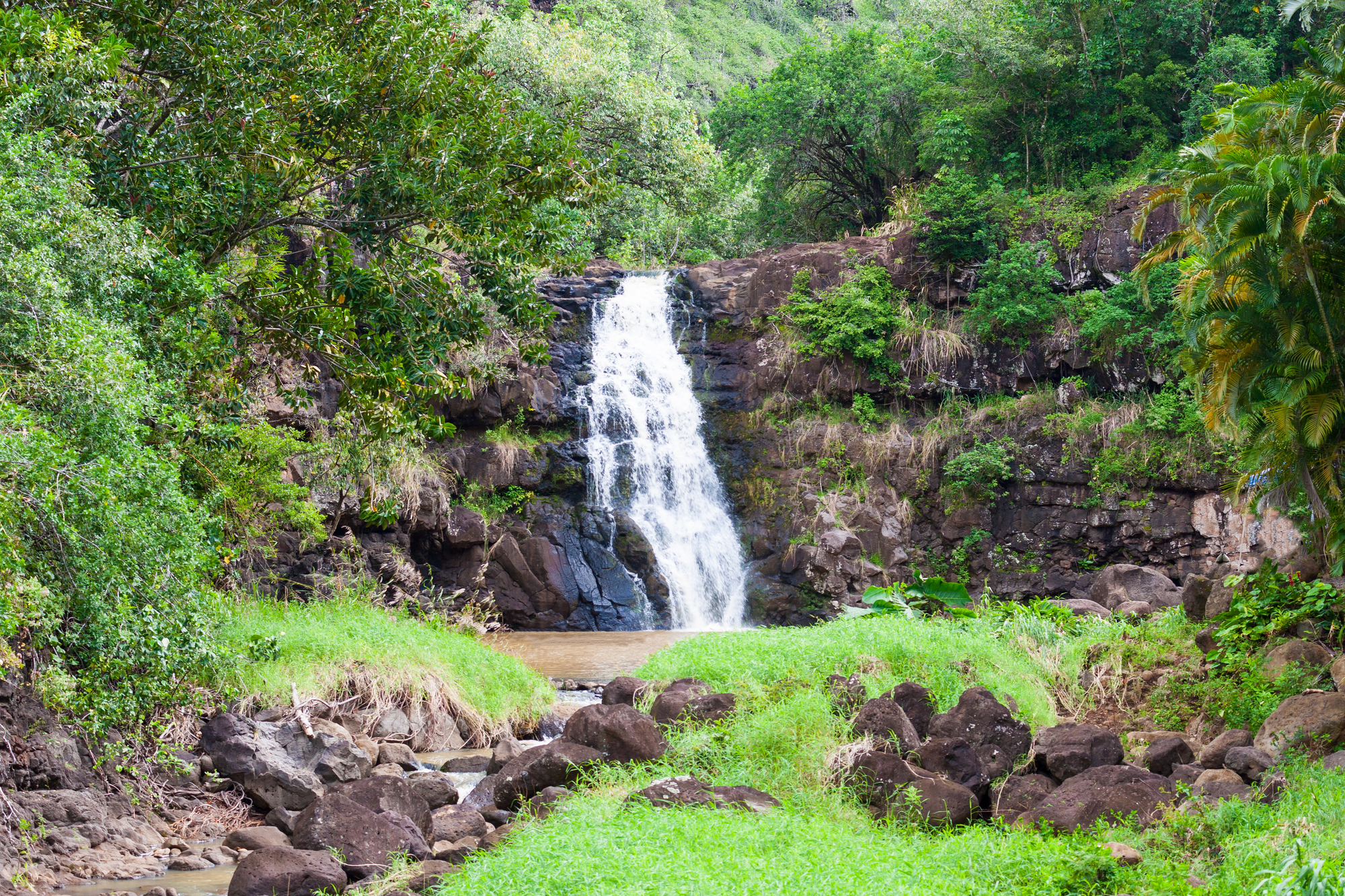 Waimea Falls Waimea Valley Oahu