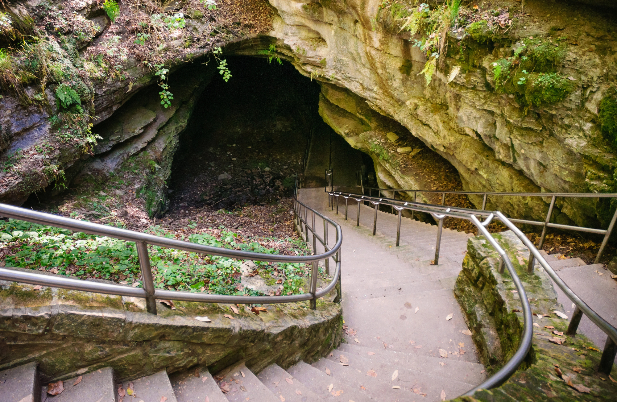 Celebrate the Kentucky Derby During a Family Vacation - Mammoth Cave National Park in Kentucky