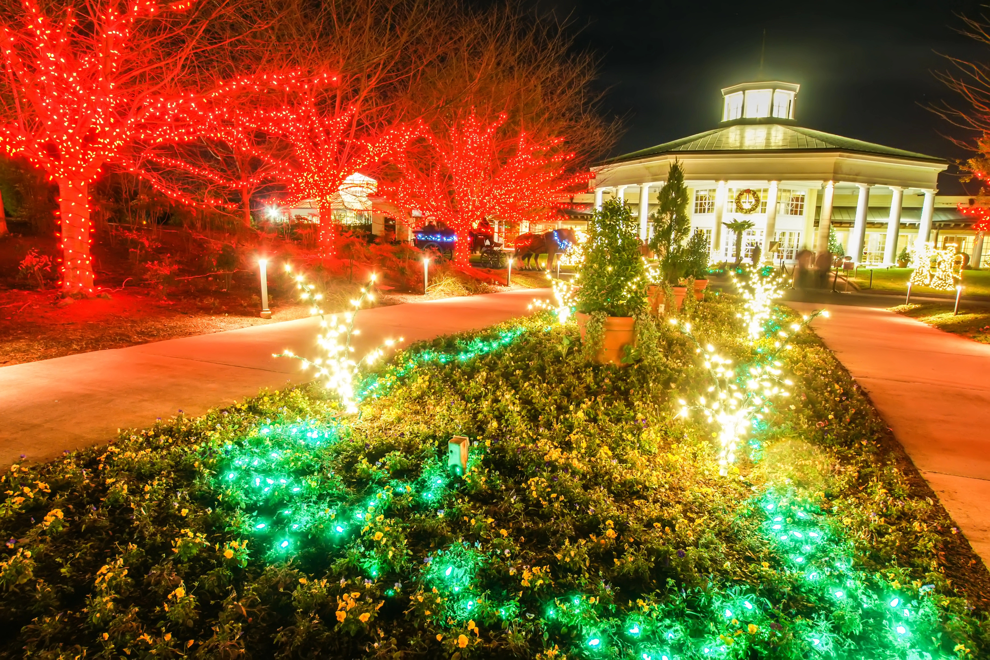 US Christmas Markets Your Family Must Visit During the Holidays - Christmas in the Carolinas