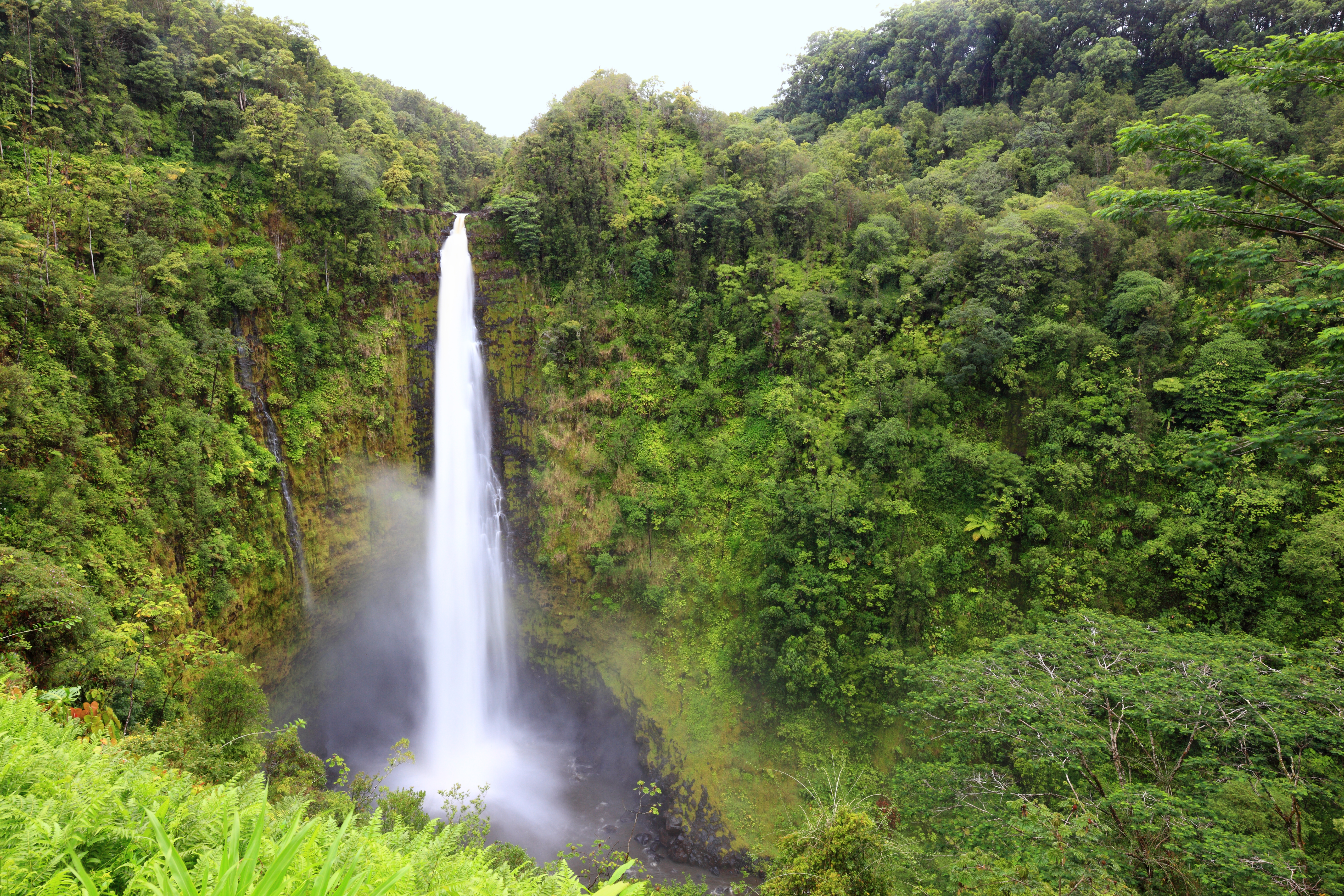 Waterfalls on the Big Island of Hawaii Every Generation Can Enjoy - Akaka Falls Hawaii Big Island