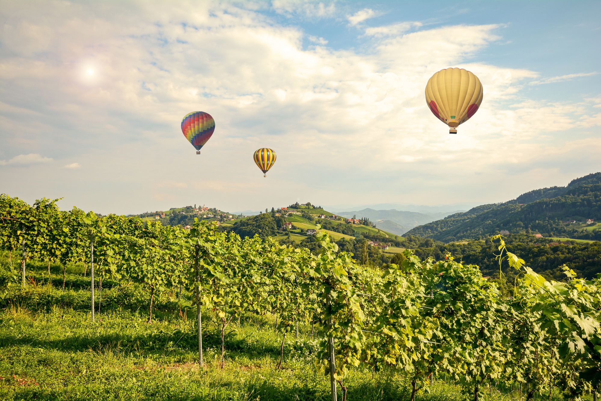 Hot Air Balloon over Vineyard in Napa