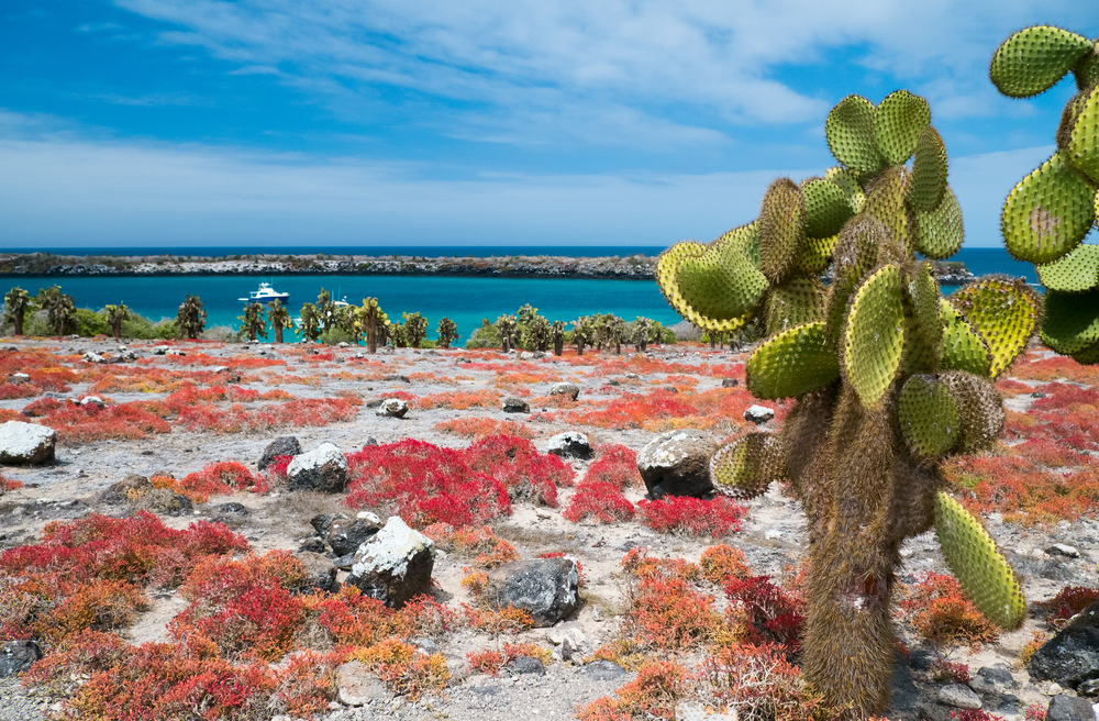 Travel Guide to the Galapagos Islands