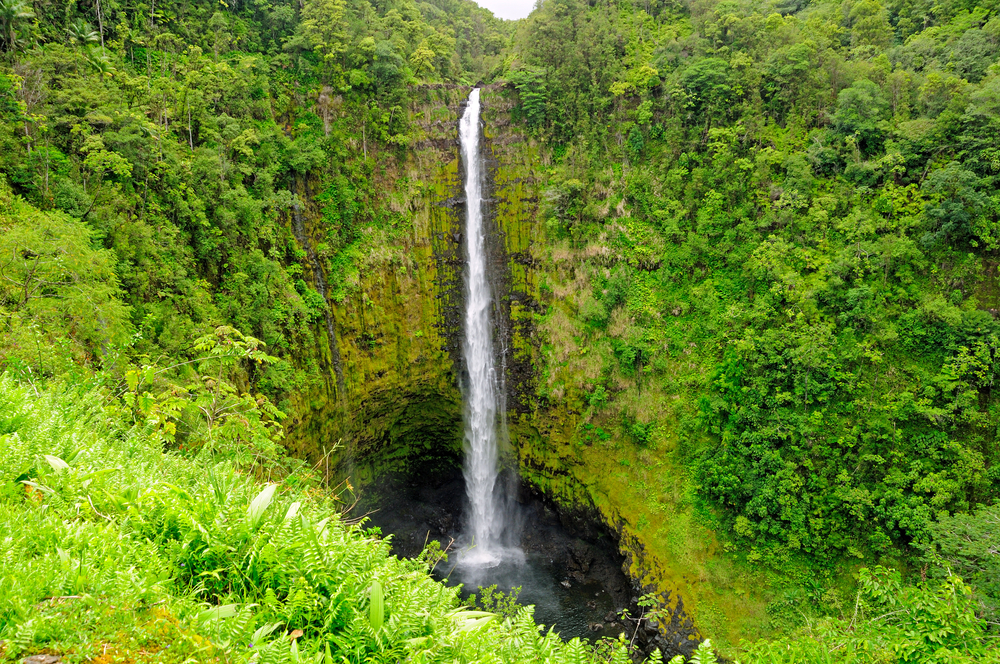 Waterfalls Everyone Must See When On A Vacation in Hawaii
