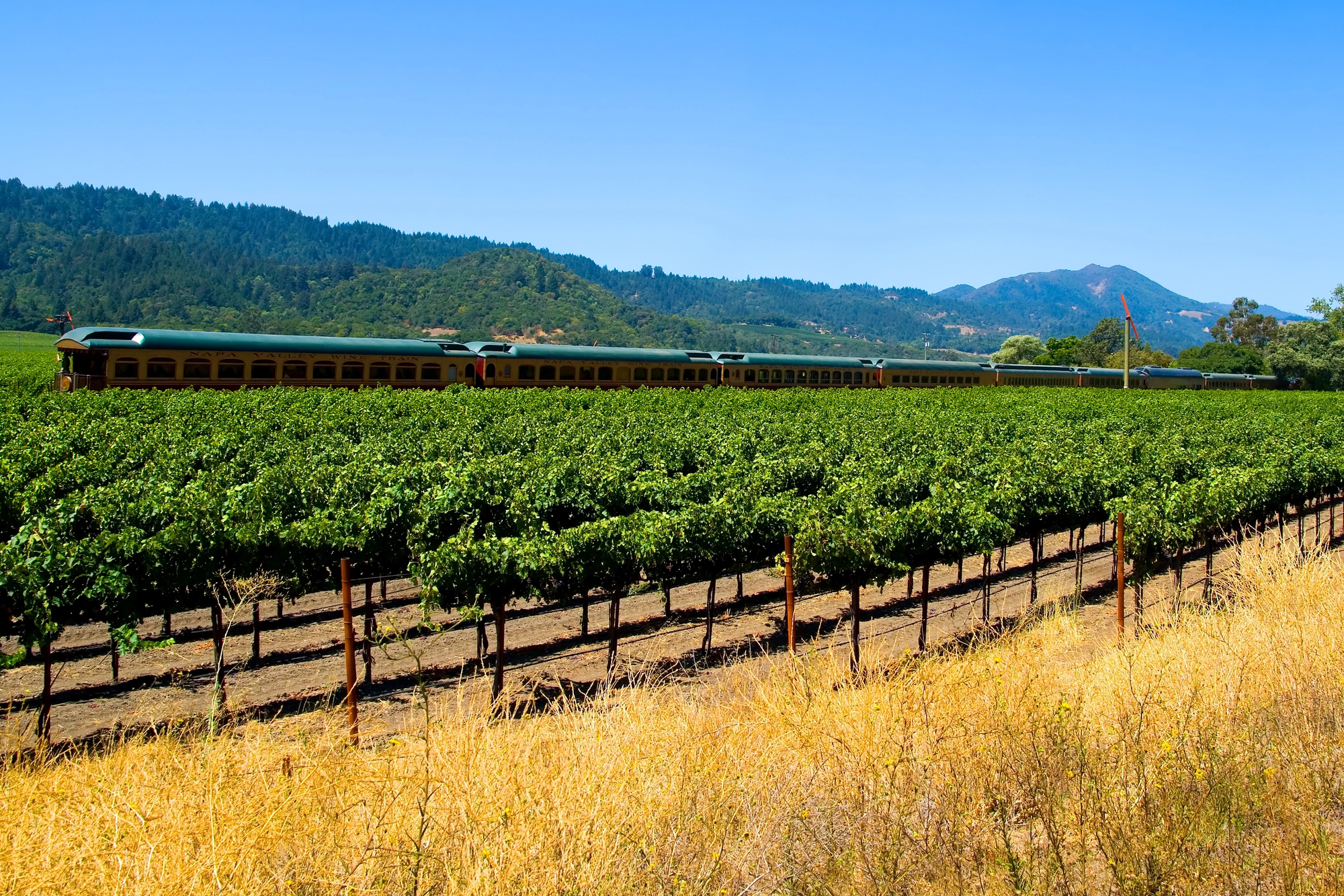 Wine Train in Napa Valley