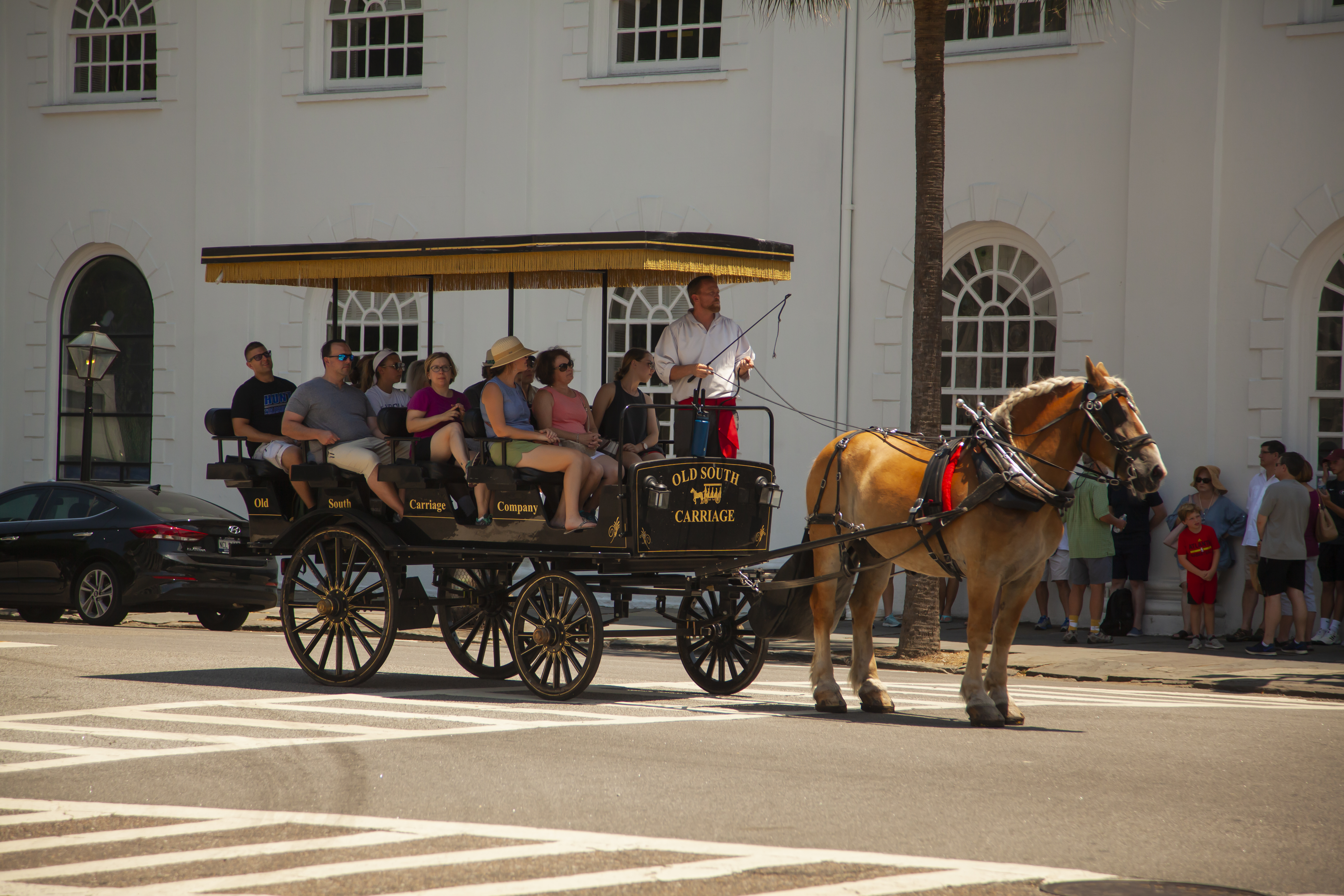 Carriage Tour of Charleston - Horse Drawn Carriage Tour in Charleston