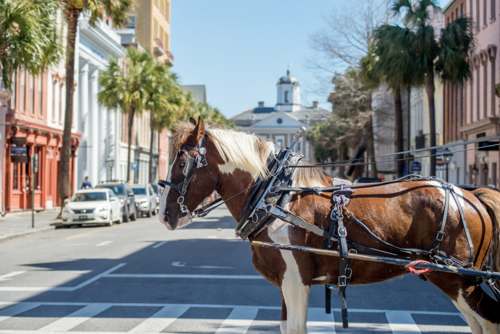Historic Downtown Charleston - Carriage Tour