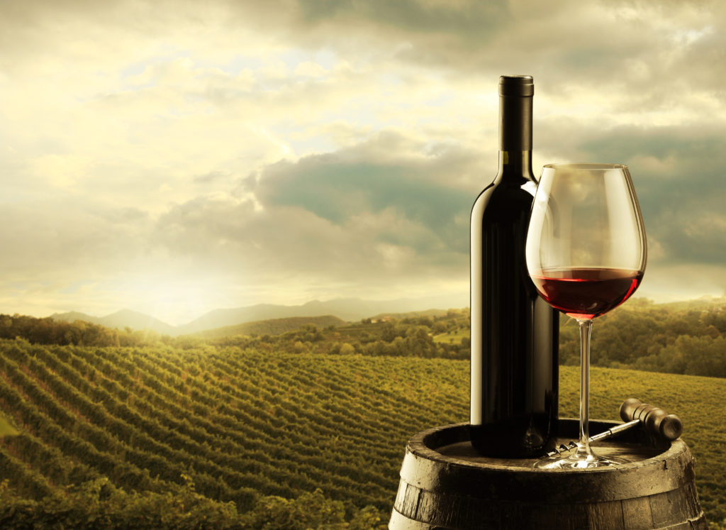 Wine Tasting in Willamette Valley - Vineyard at Sunset