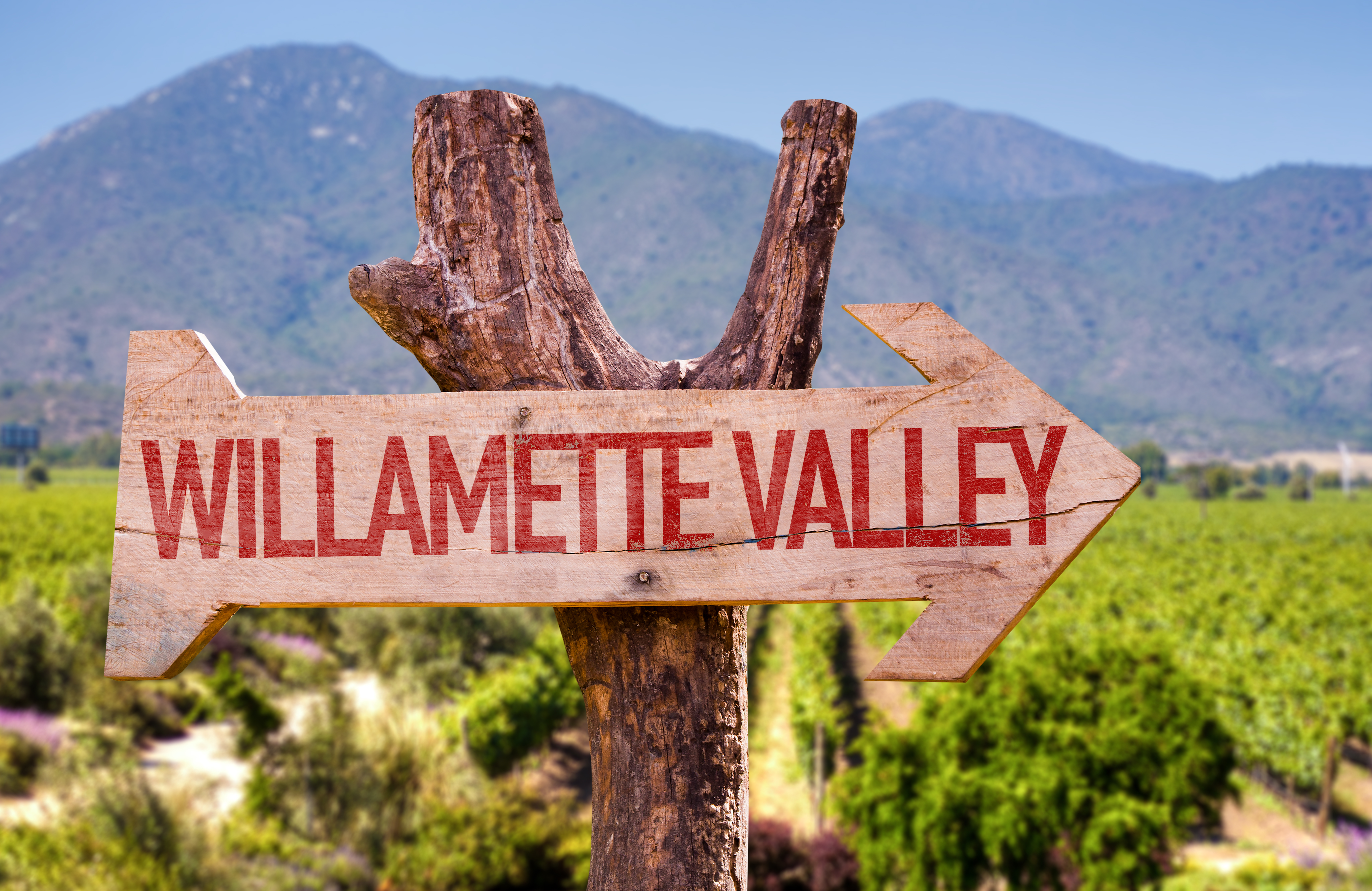 Best Wineries to Visit in Willamette Valley - Willamette Valley Sign