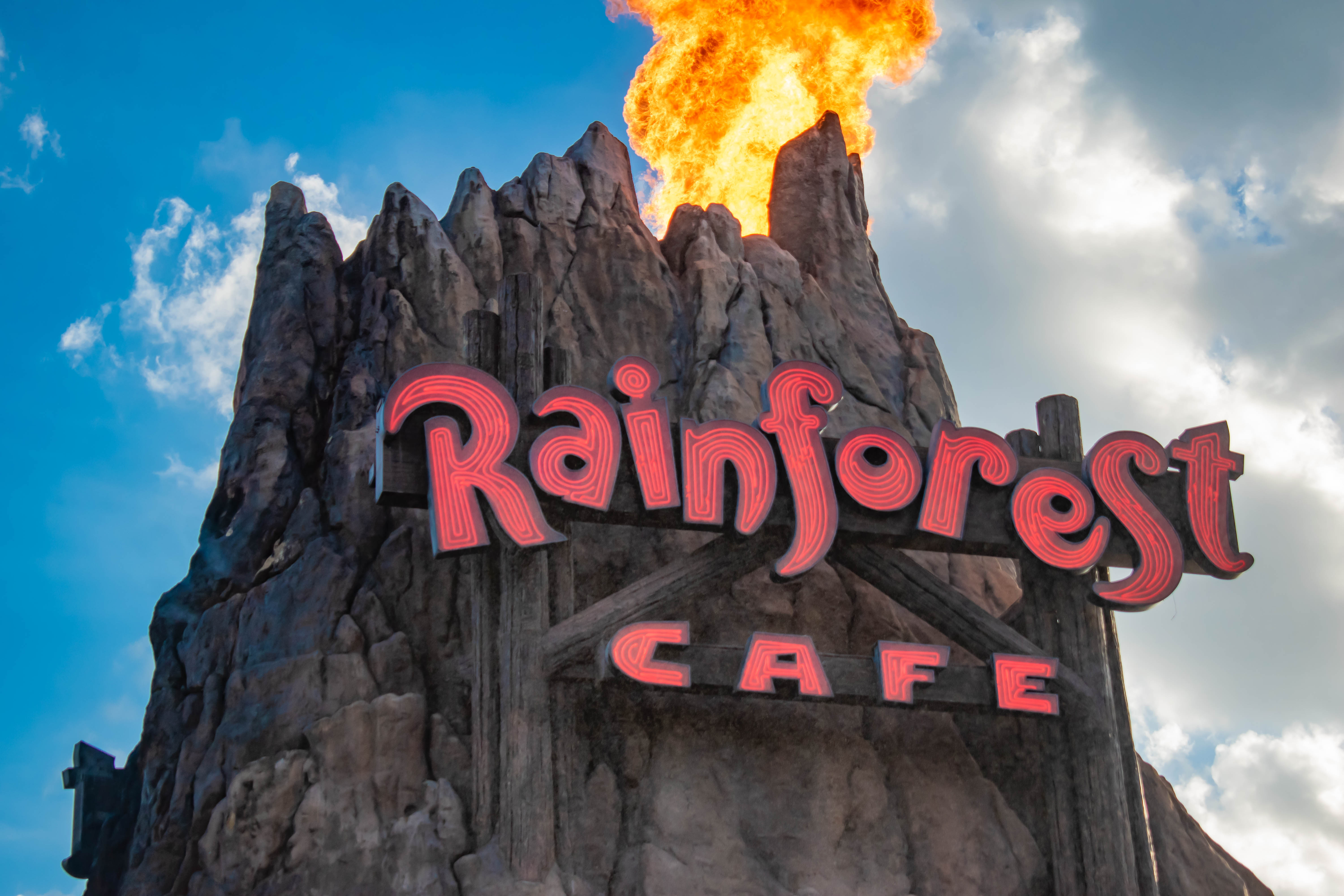 Best Non-Character Restaurants at Disney World - Rainforest Cafe