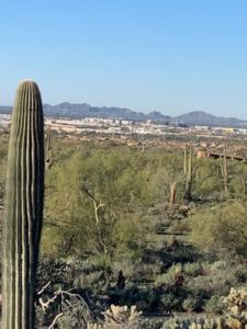 Trip to Super Bowl LVII - McDowell Sonoran Land Conservancy