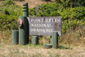 Safari in the US - Point Reyes