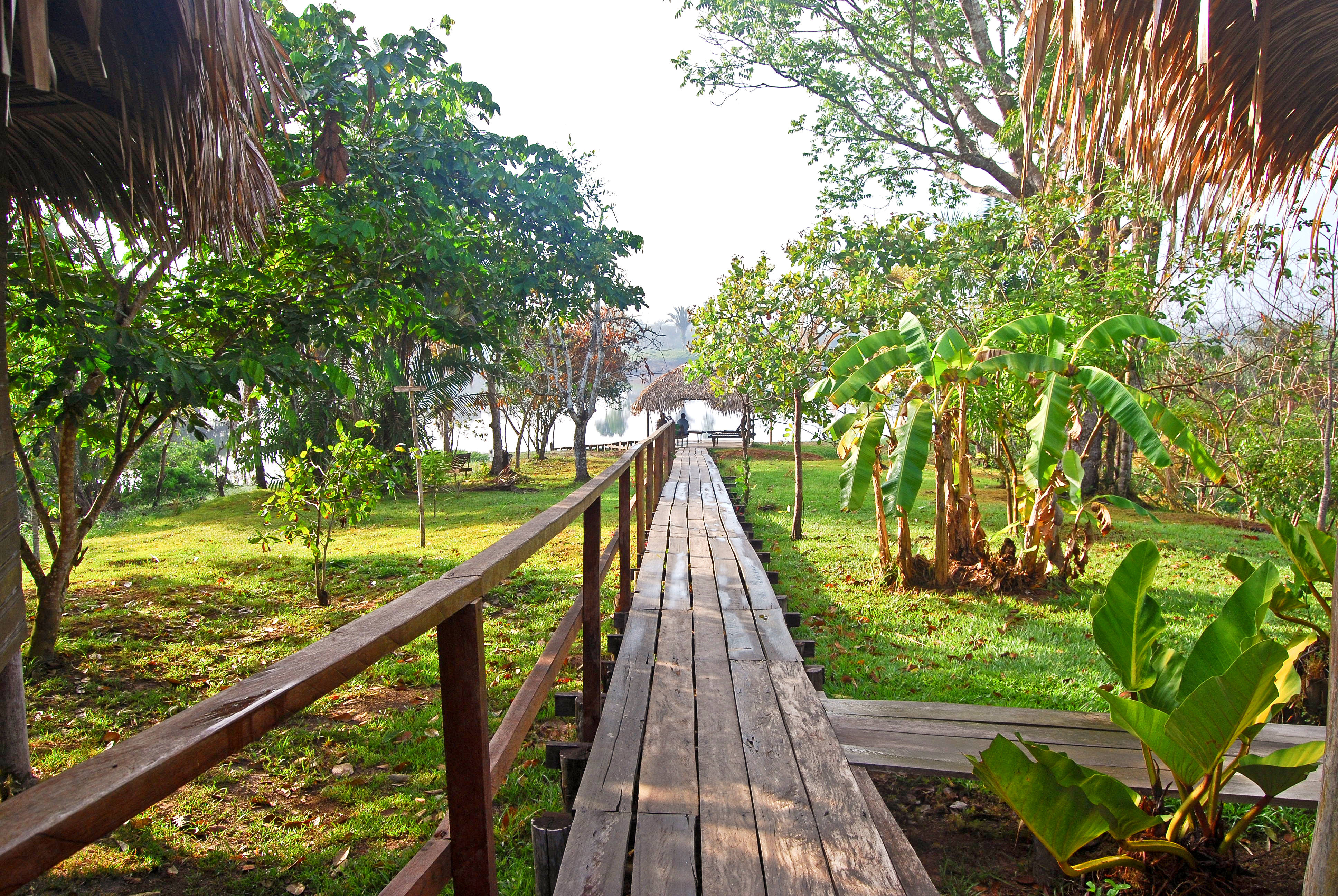 Visit the Best Places Near the Equator - Amazon River Footpath in Brazil