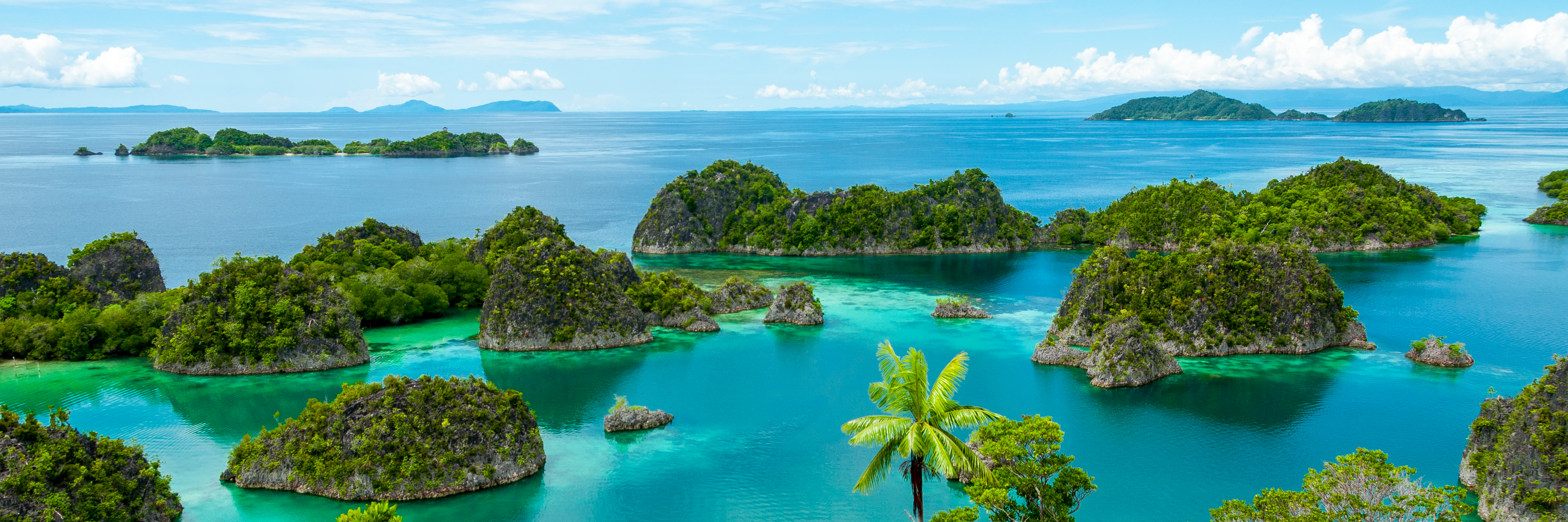 Consider a Cruise to a Remote Destination - Papua New Guinea