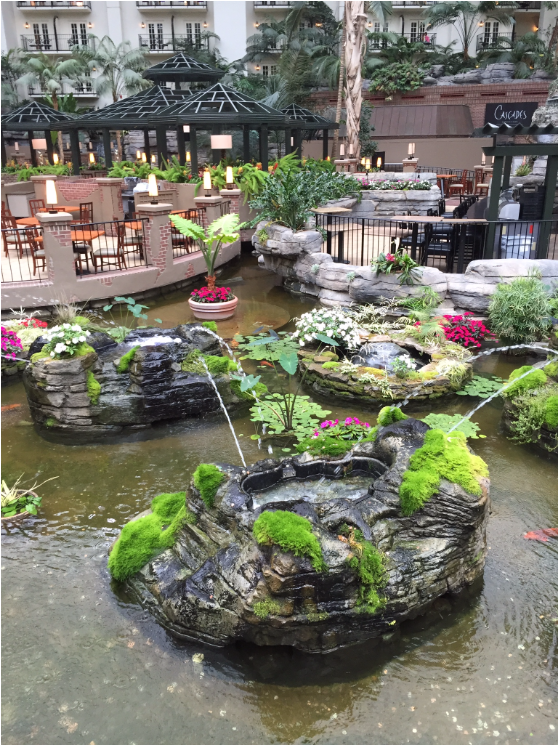 Best Things to Do in Nashville - Gaylord Opryland