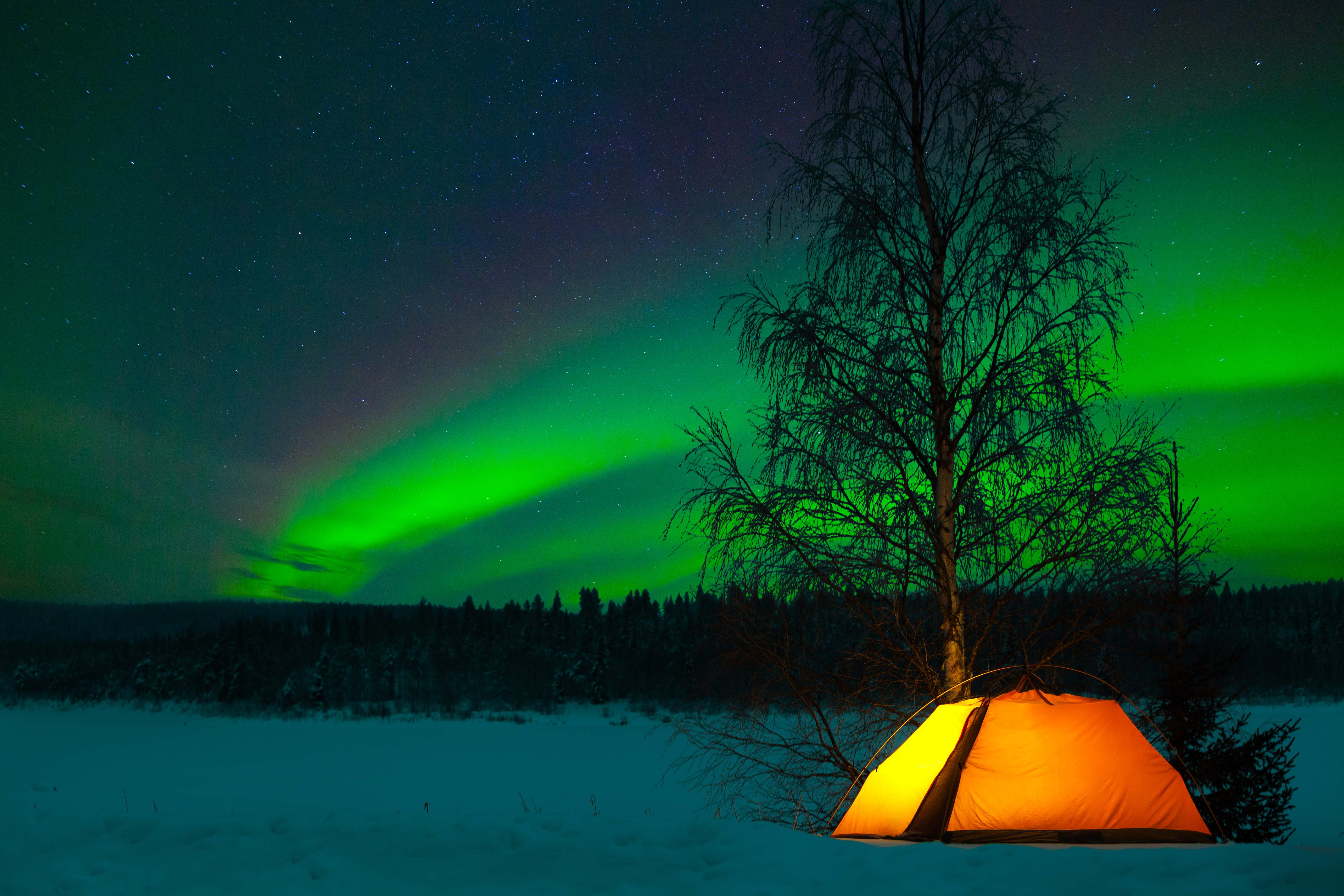 Thrilling Family Vacation Activities - Northern Lights in Lapland