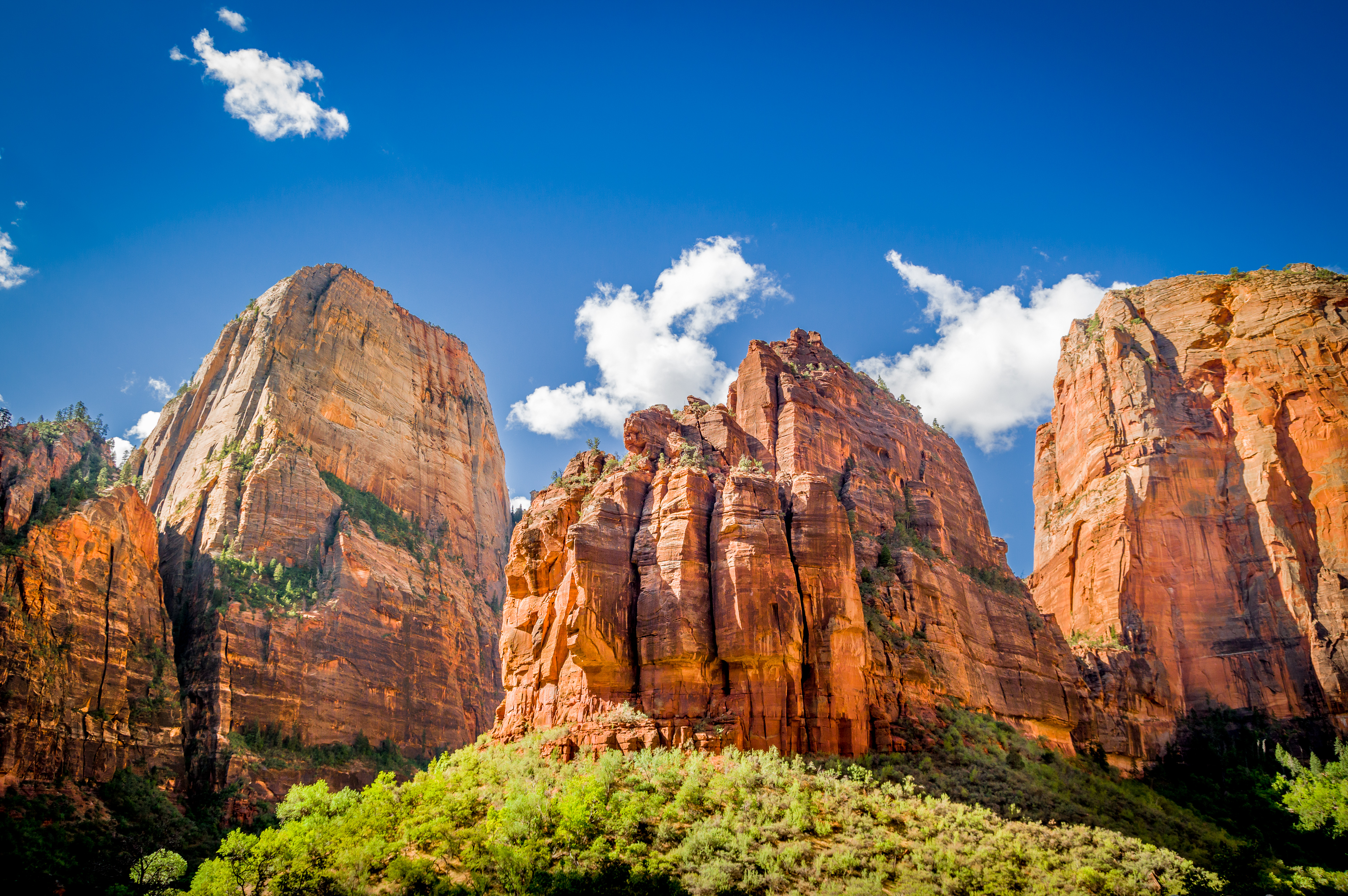Love the Mountains? Check Out These Mountain Vacations! - The Mountains in Zion National Park