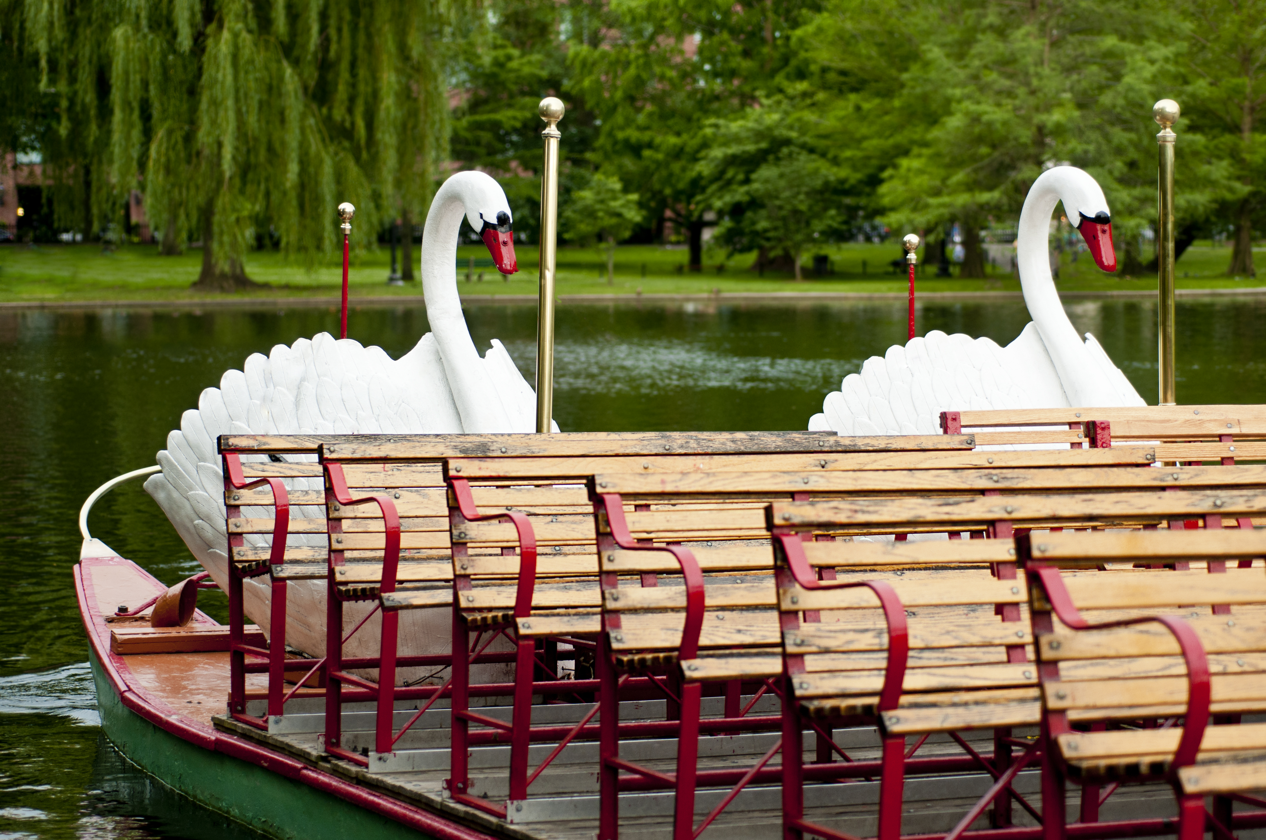 Best Things to Do in Boston - Swan Boats in the Public Garden