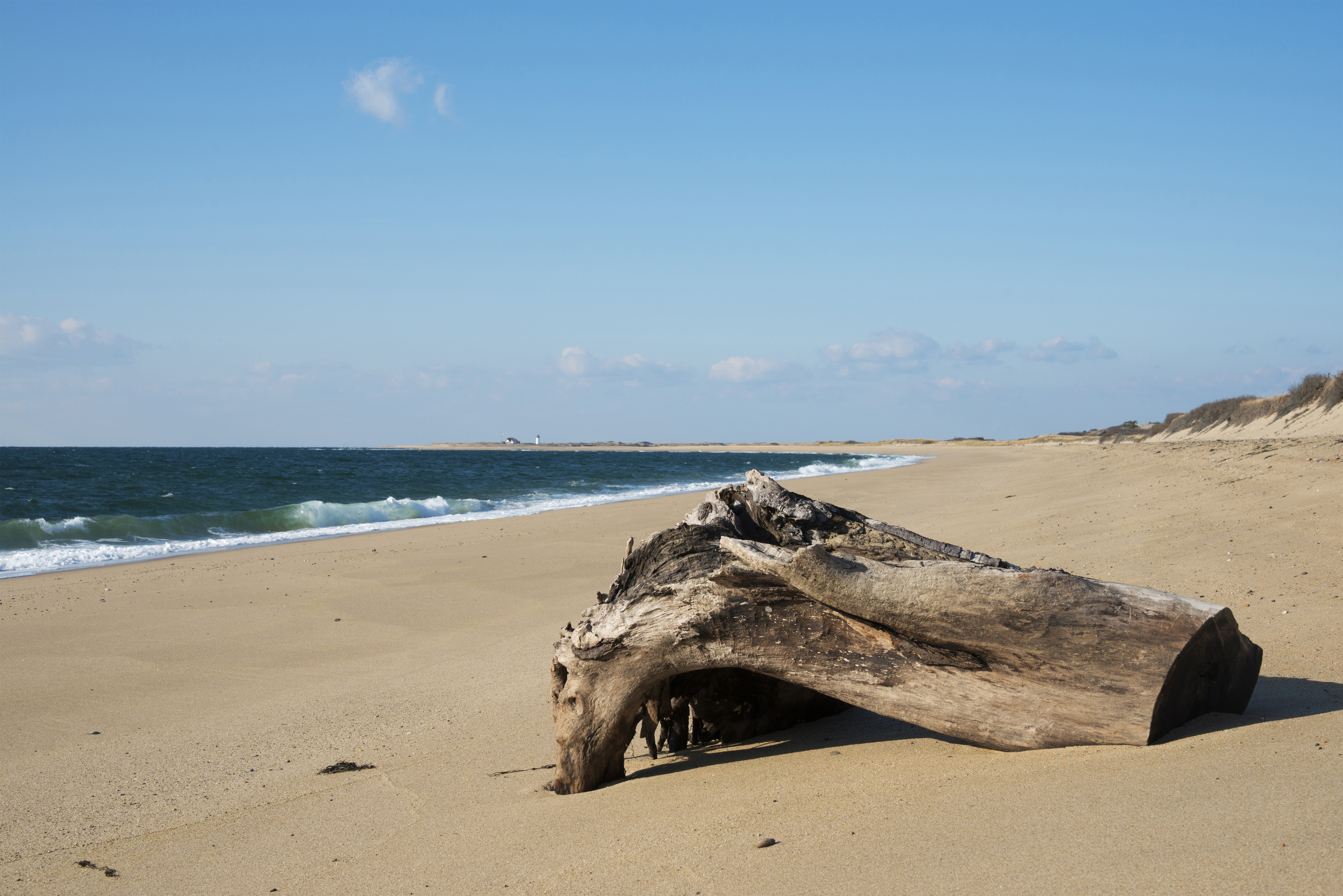 Best Things to Do in Cape Cod this Summer - Cape Cod National Seashore