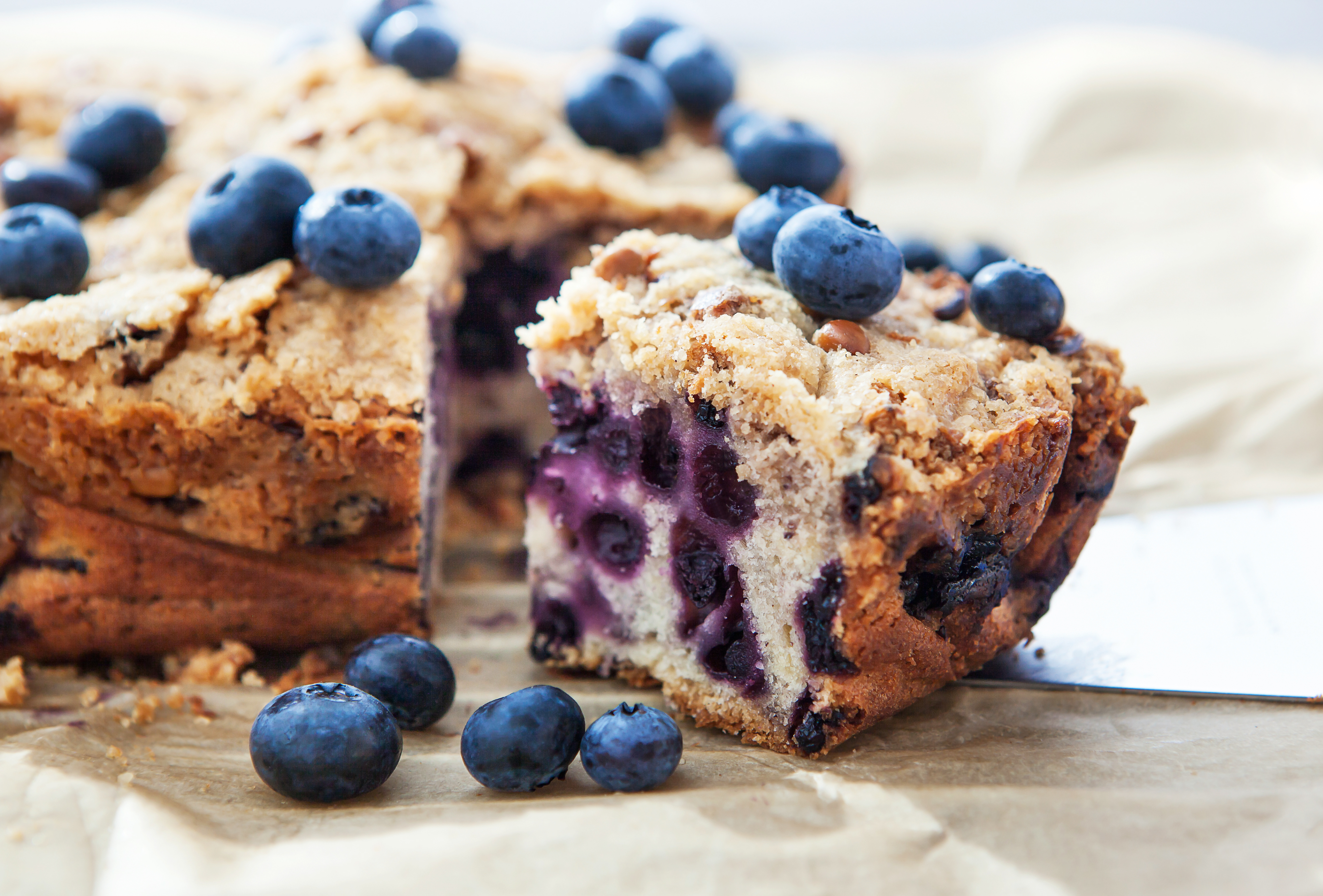 Experience an 8 Day Amazing Vacation in Maine with Family - Blueberry Cake