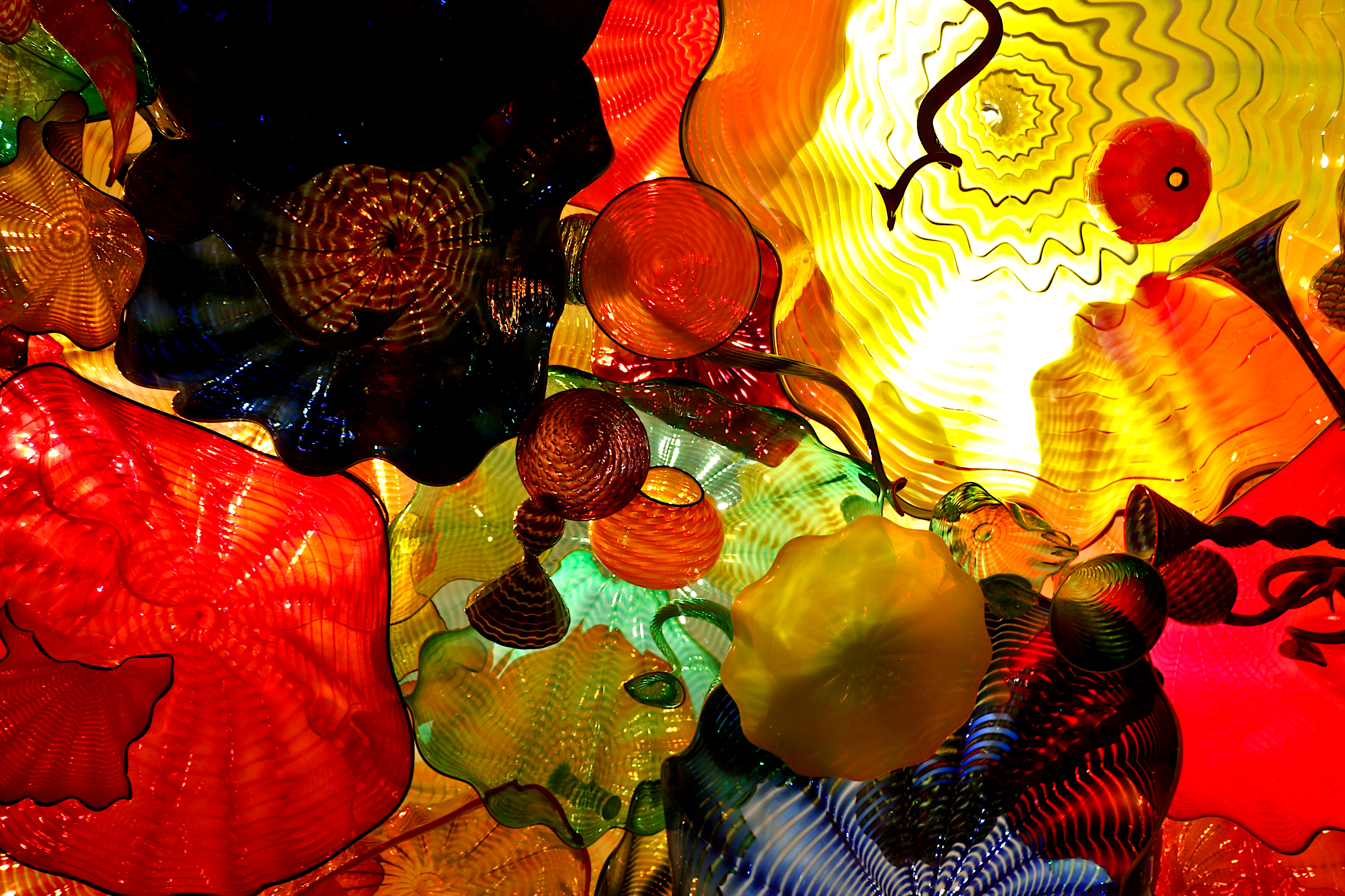 Experience the Best Things to Do in Seattle with Your Family - Chihuly Garden and Glass