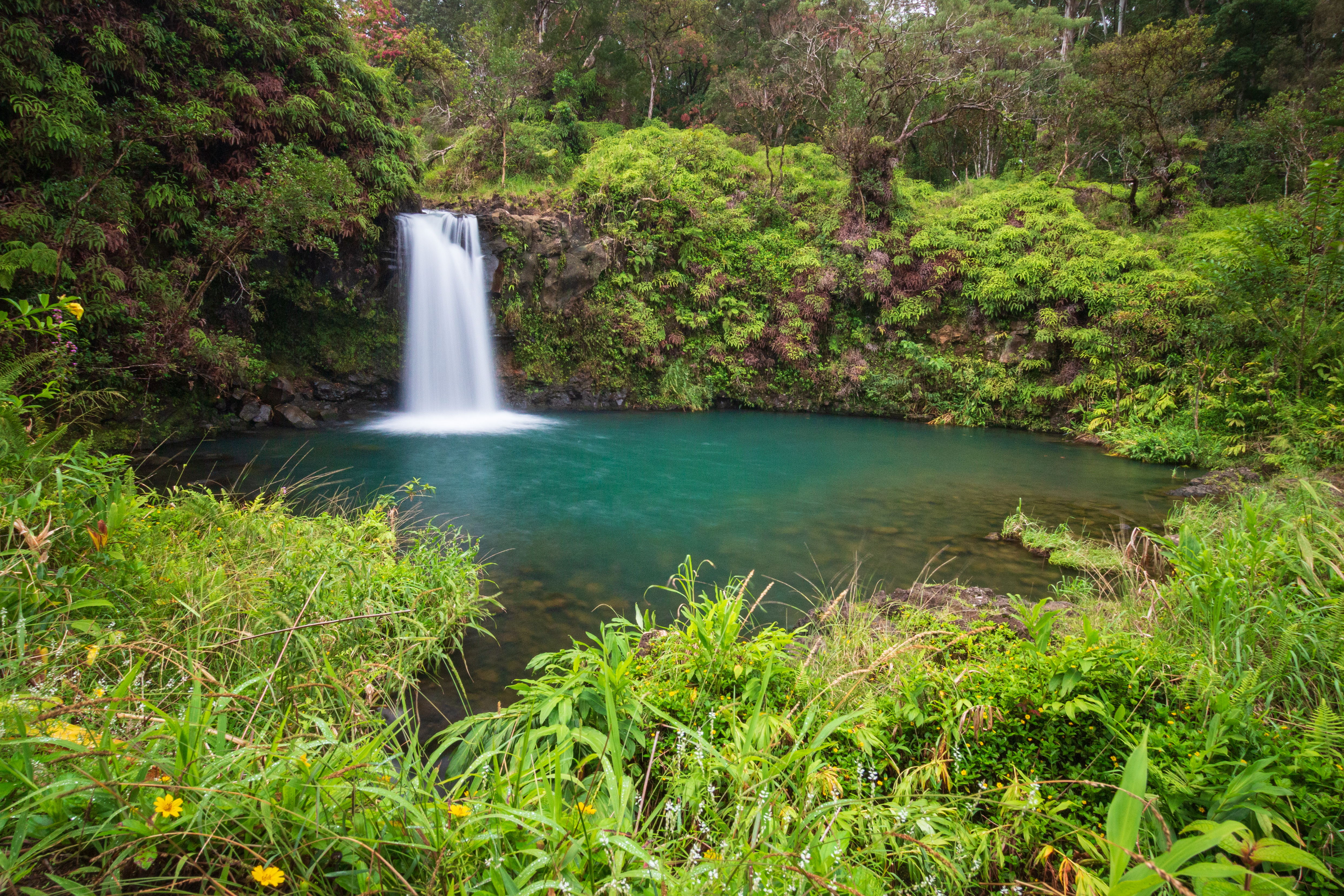 Explore the Amazing Road to Hana with Your Family Using My Helpful Guide - Pua'a Ka'a Falls on the Road to Hana at Mile Marker 22