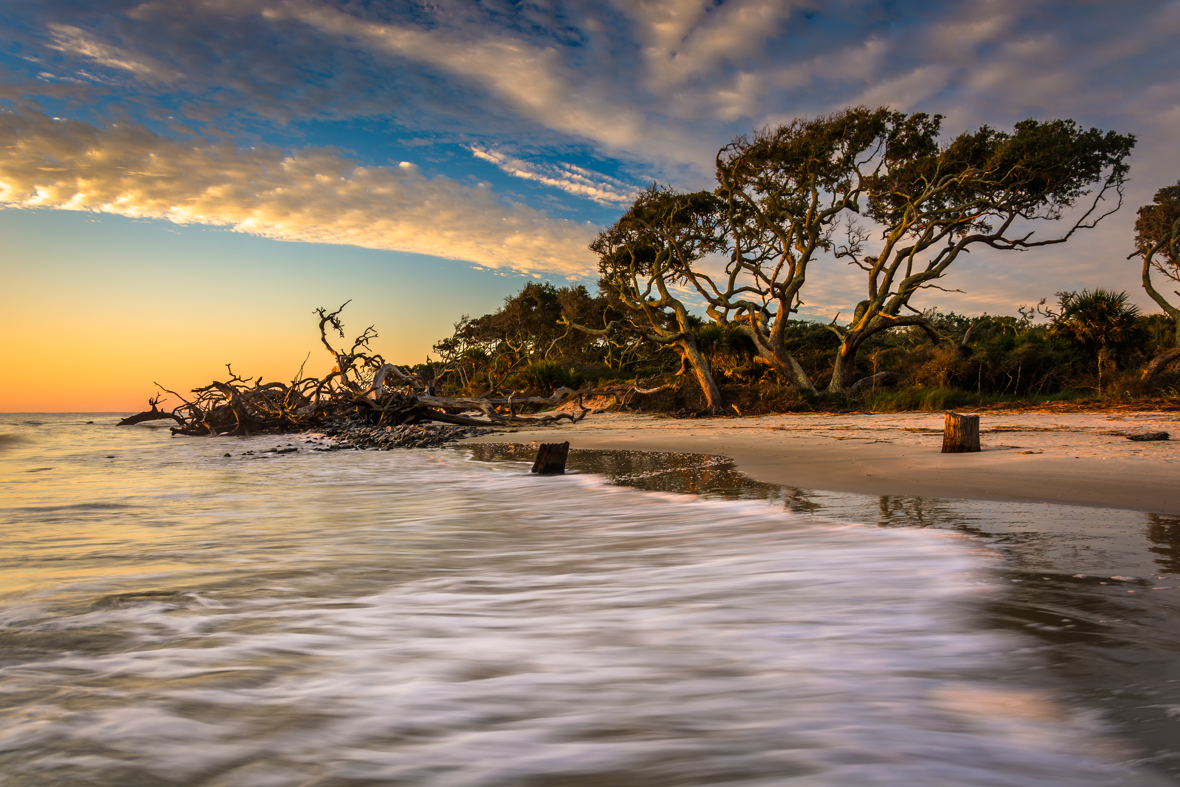 Check Out Amazing Underrated Spring Destinations for a Family Vacation - Driftwood Beach on Jekyll Island