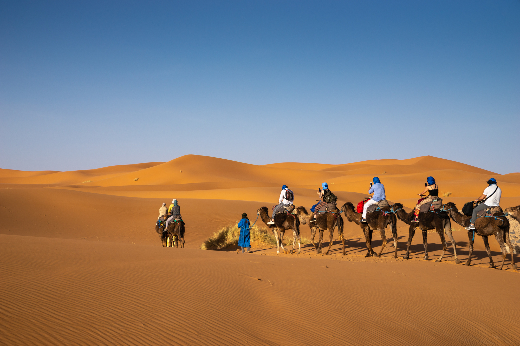 Adventure Trips for Empty Nesters: Rediscover Your Wild Side - Camel Riding in Dubai