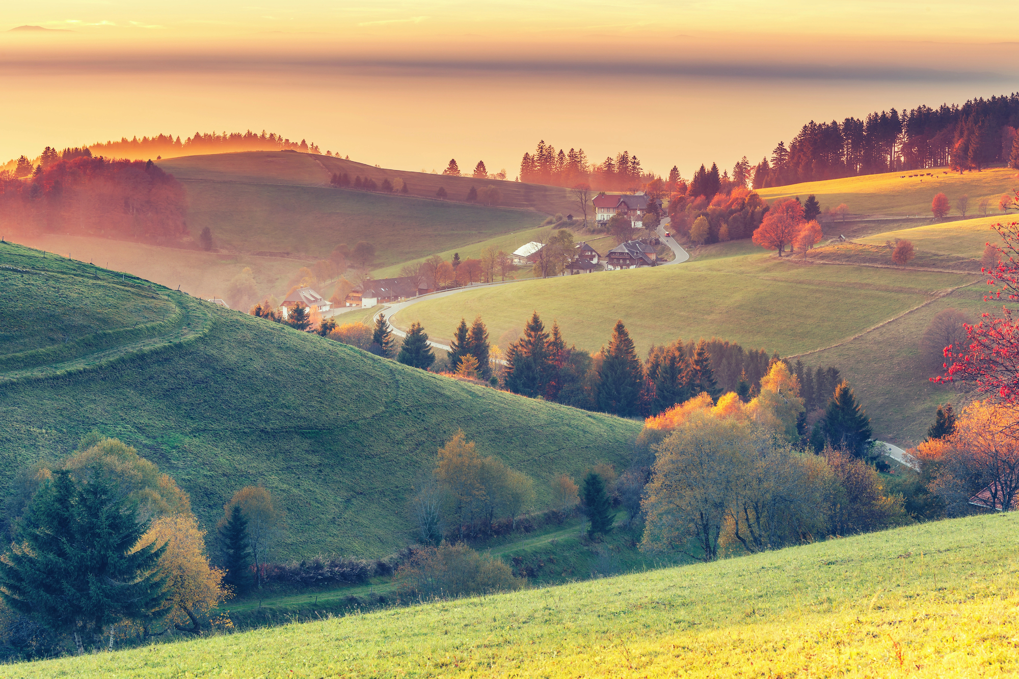 Best Places to See Fall Foliage for Family Leaf Peeping Adventures - Black Forest in Germany During the Fall