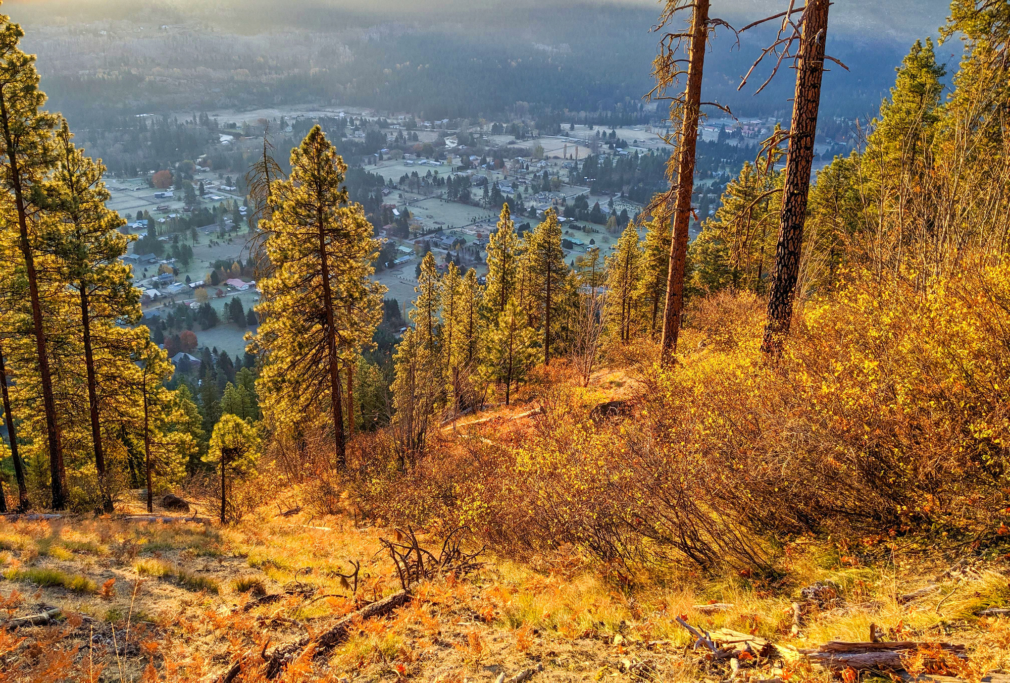 Best Places to See Fall Foliage for Family Leaf Peeping Adventures - Leavenworth Washington in Fall