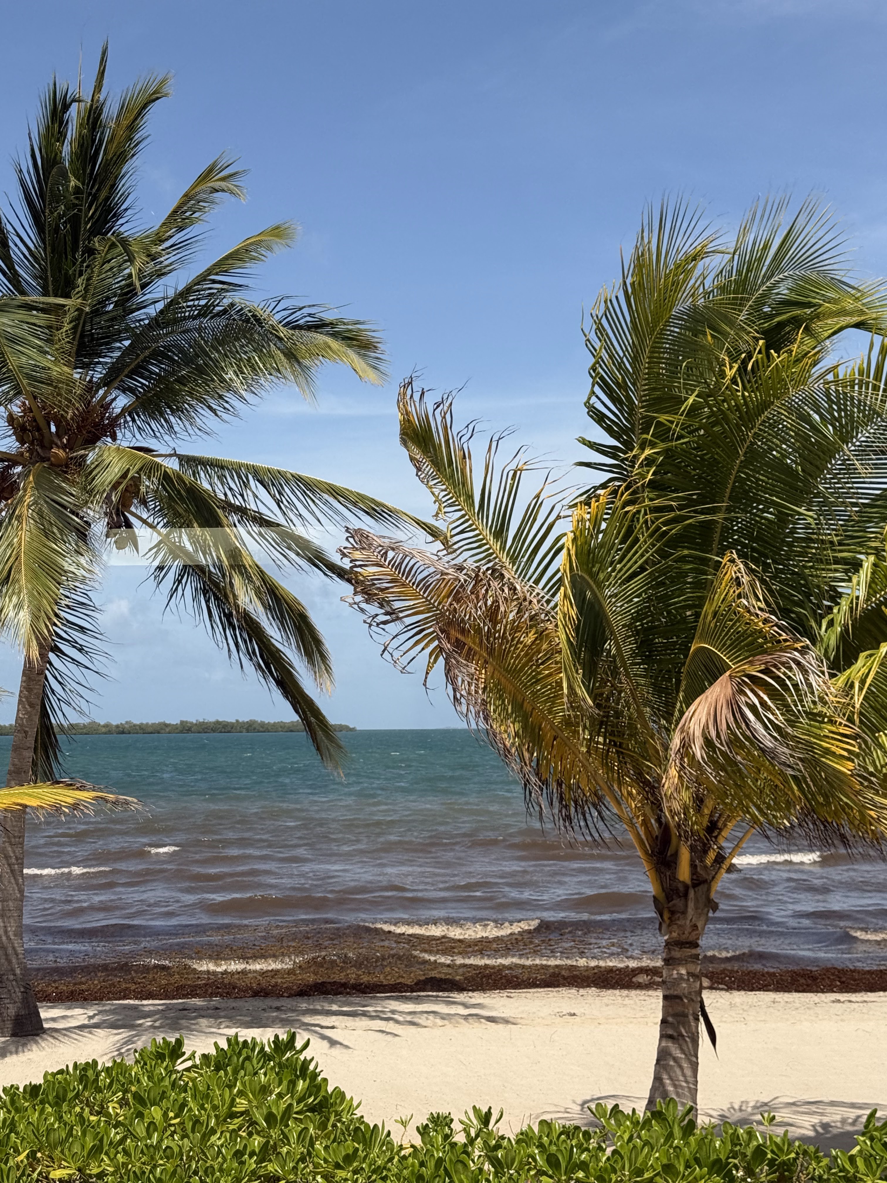 Belize Travel Guide for Families: Multigenerational Adventures, Relaxation, and Must-See Attractions - Beach in Placencia Belize